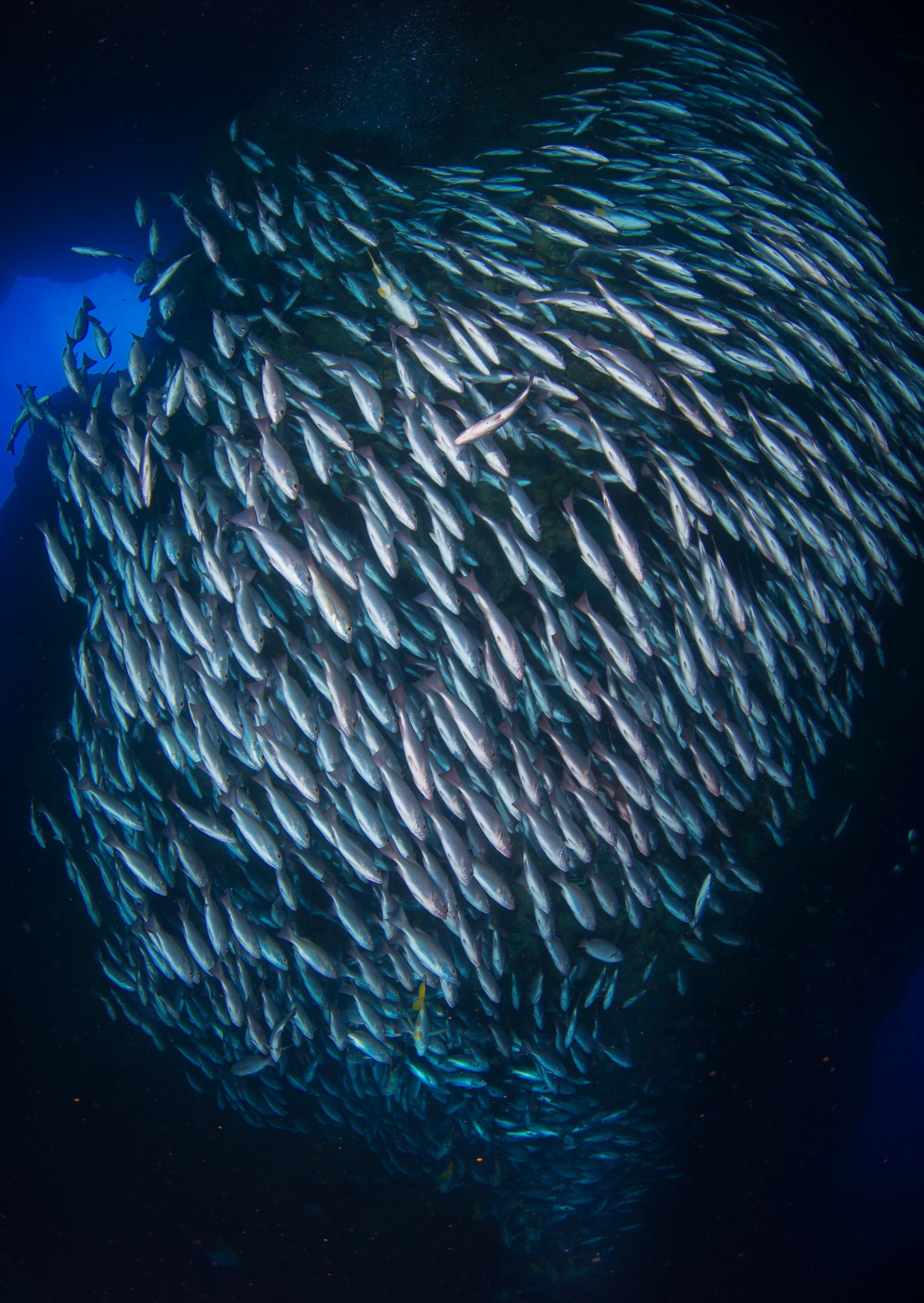 Screenshot 2024-03-21 at 1.46.52 PM.png