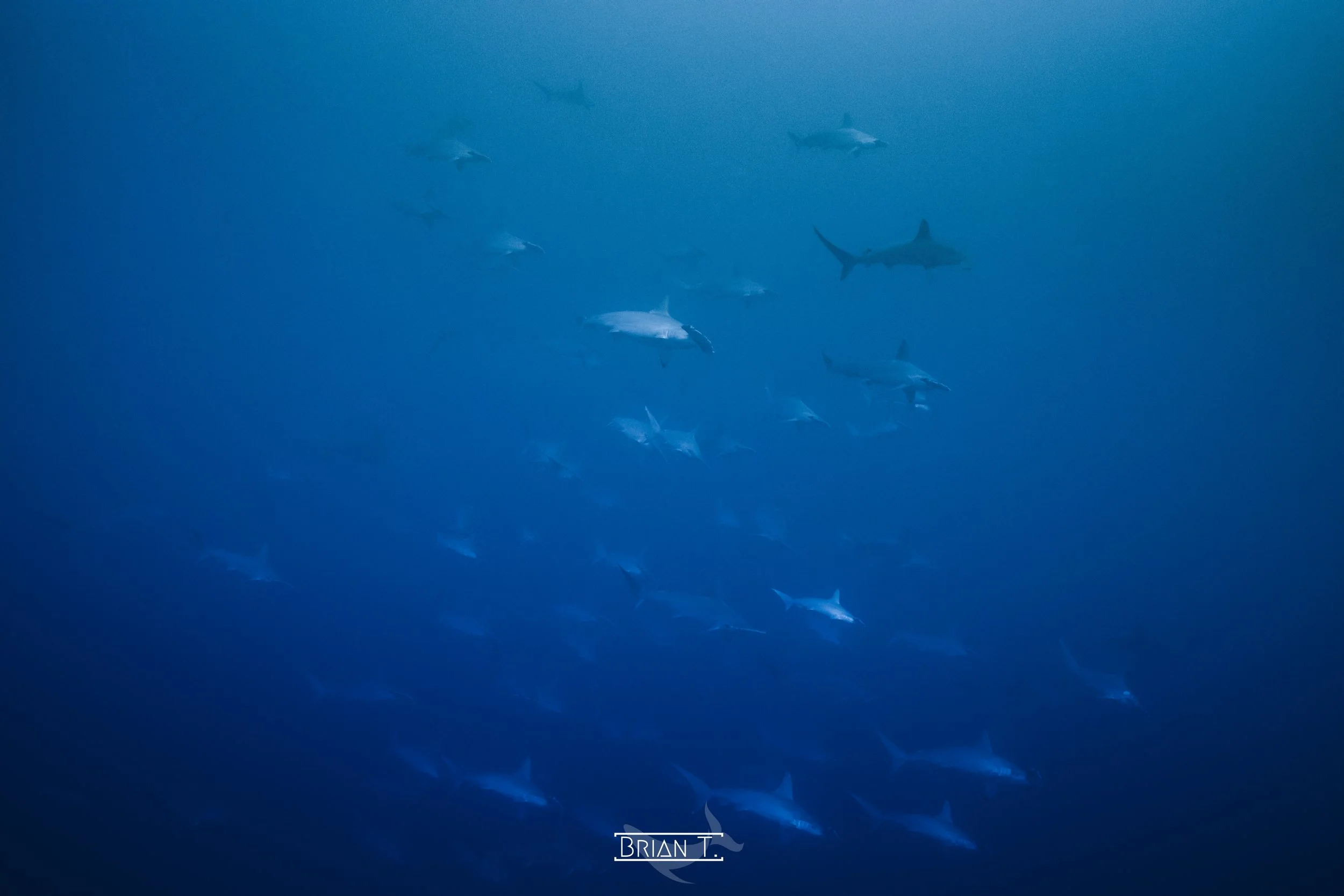 _MG_3422.jpg