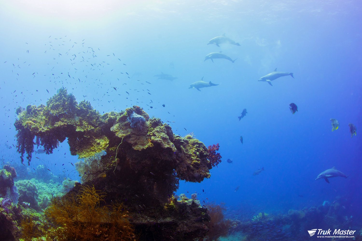 image8.png