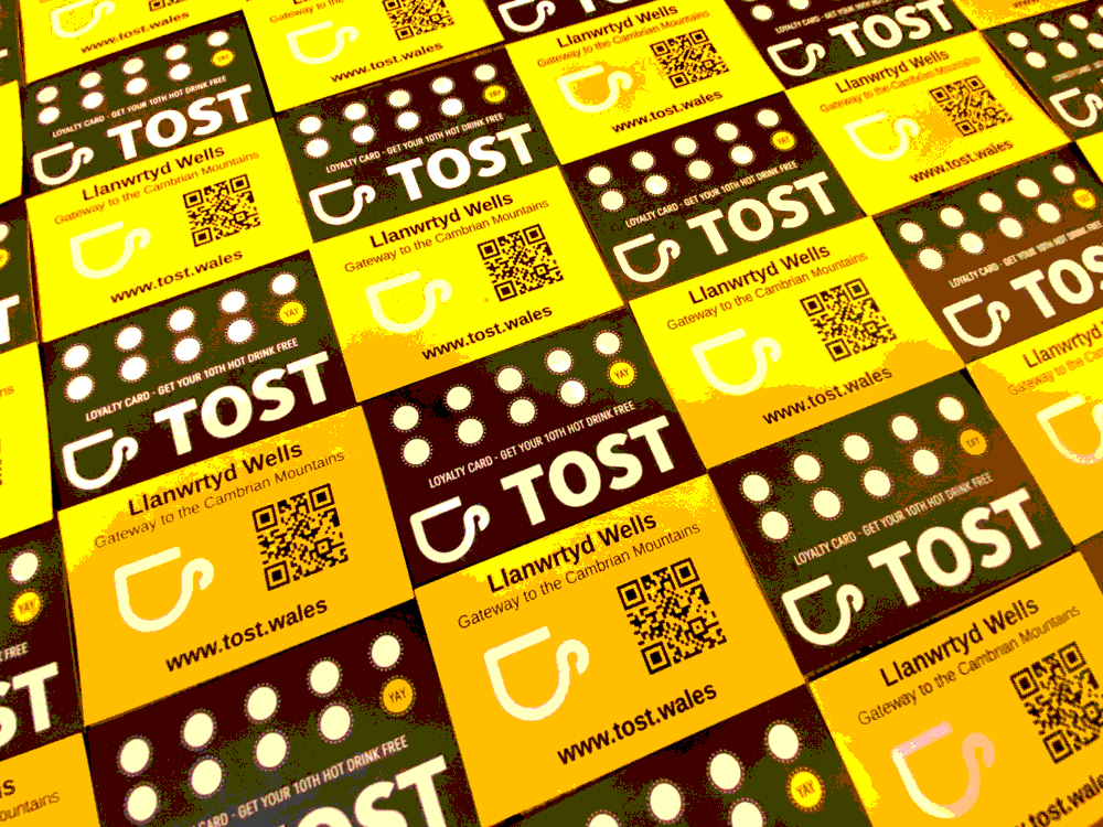 TOST | Dictionary Definition