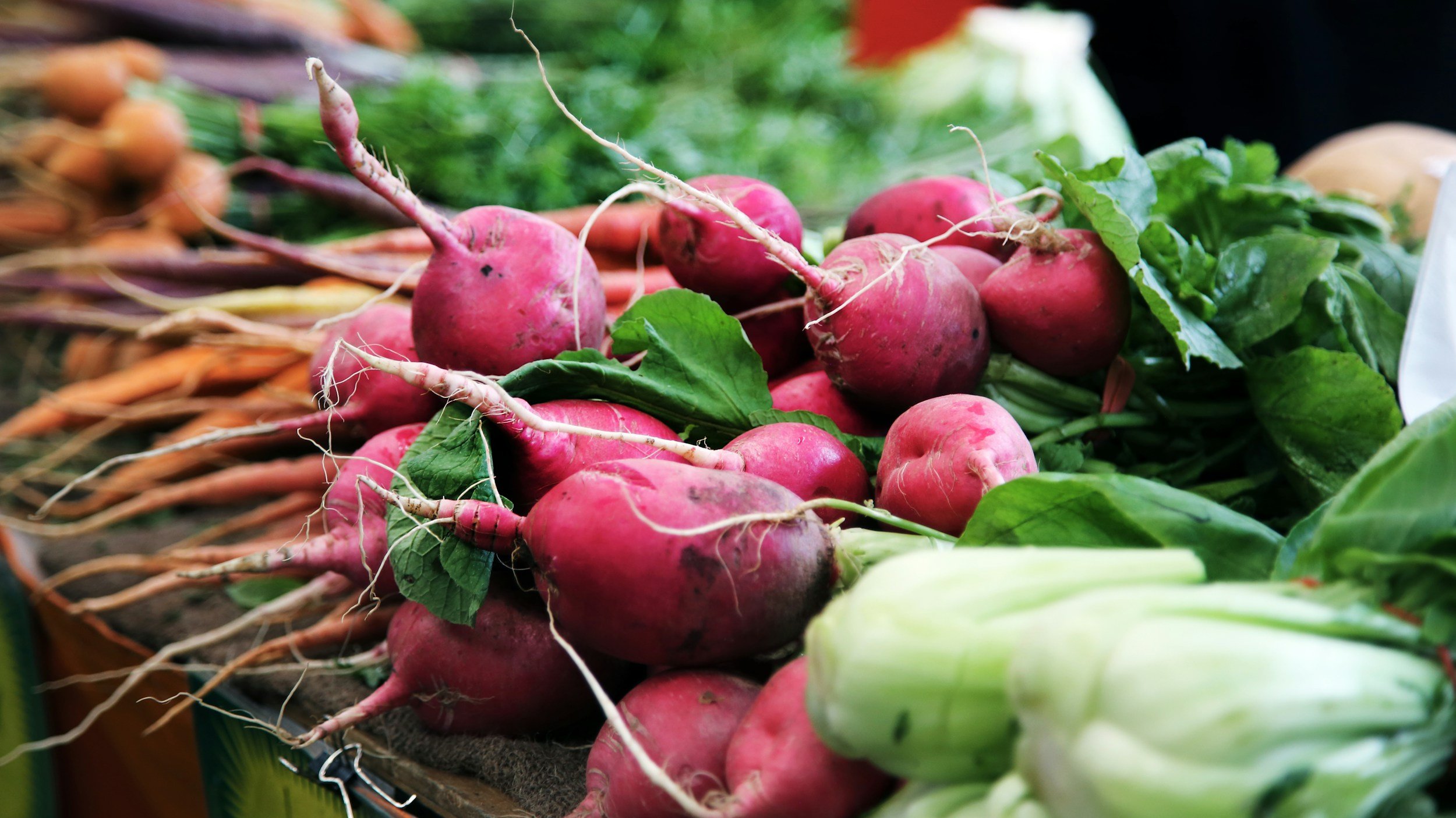THE HOOP HOUSE - GROWING PLANTS FOR FOOD