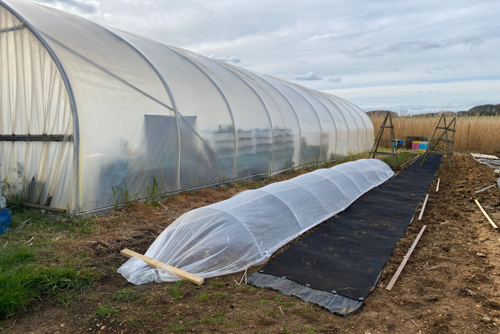 Mini-Hoop / Minihoop Houses / Mini Polytunnels (Take 2!)