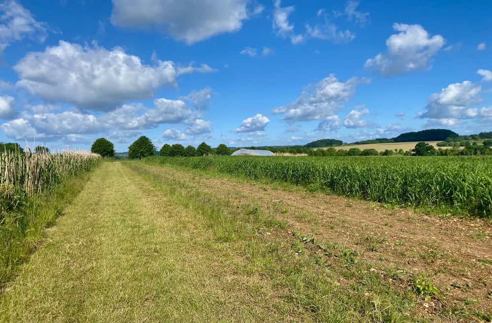 Beautiful Wiltshire UK Countryside