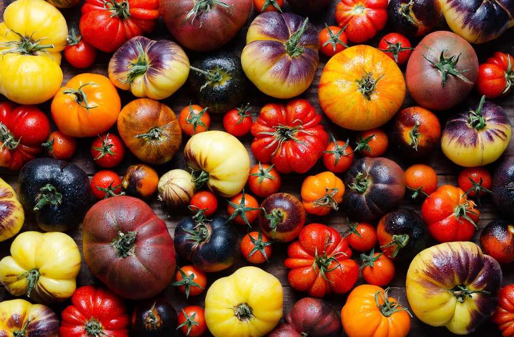 Heirloom Tomatoes / Heritage Tomatoes