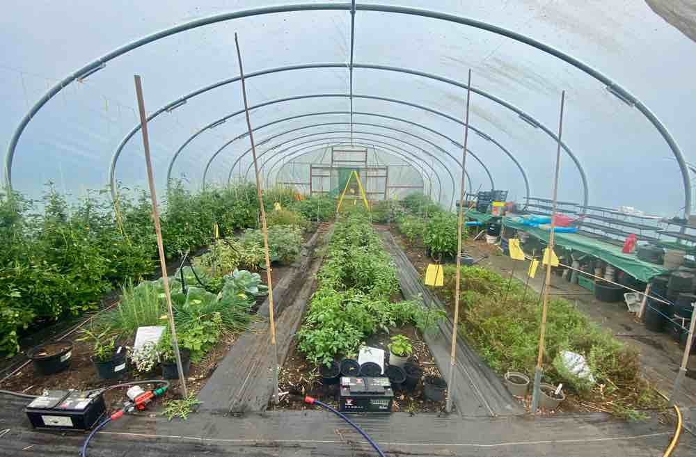 Polytunnel Myths