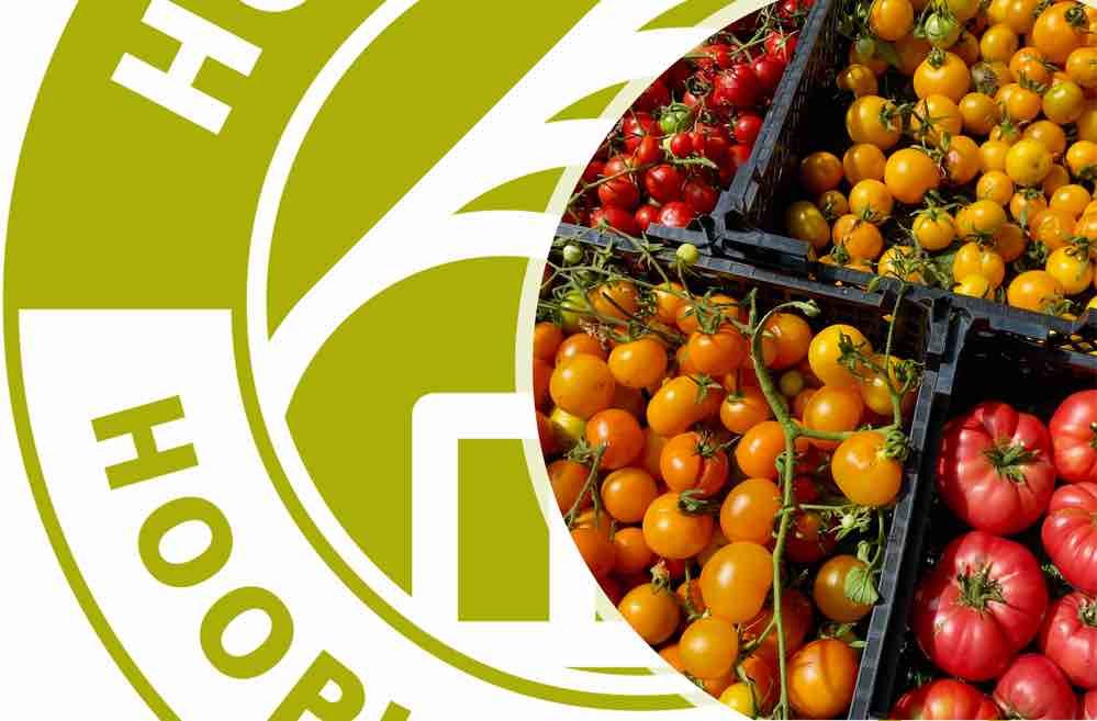 What Floor Material to use for a Poly-tunnel / Hoop House