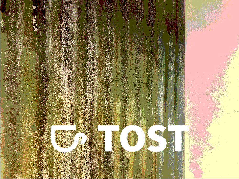 TOST+COFFEE+SHOP+CAFE+MID+WALES+LLANWRTYD+WELLS+POWYS+BUILTH+WELLS+LLANDOVERY+LLANDRINDOD+WELLS+RHAYADER+PANINI+BAGEL+SOURDOUGH+BREAD+CAKES.png