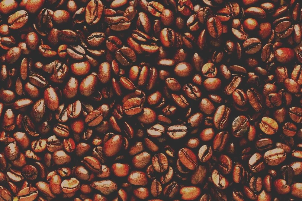 TOST BAKEHOUSE COFFEE BEANS WALES.jpg