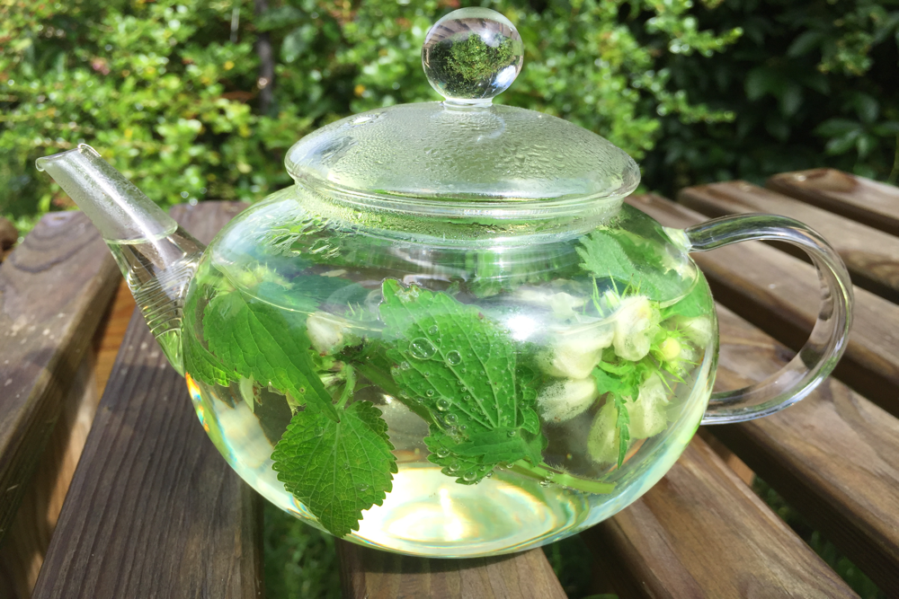 THE HOOP HOUSE - NATURAL REMEDIES