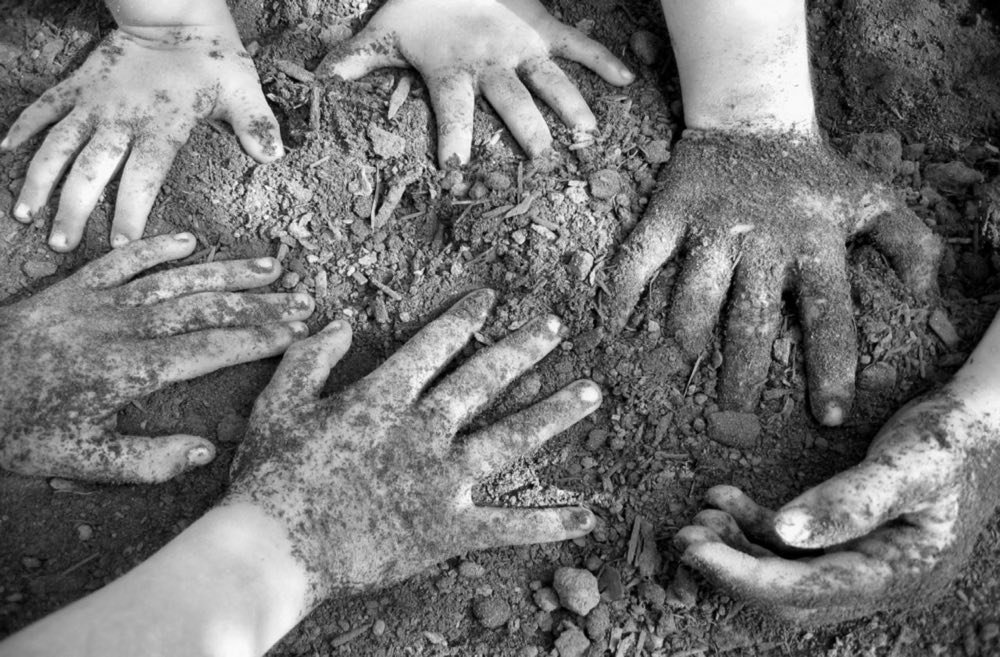 Forest School Activity Ideas