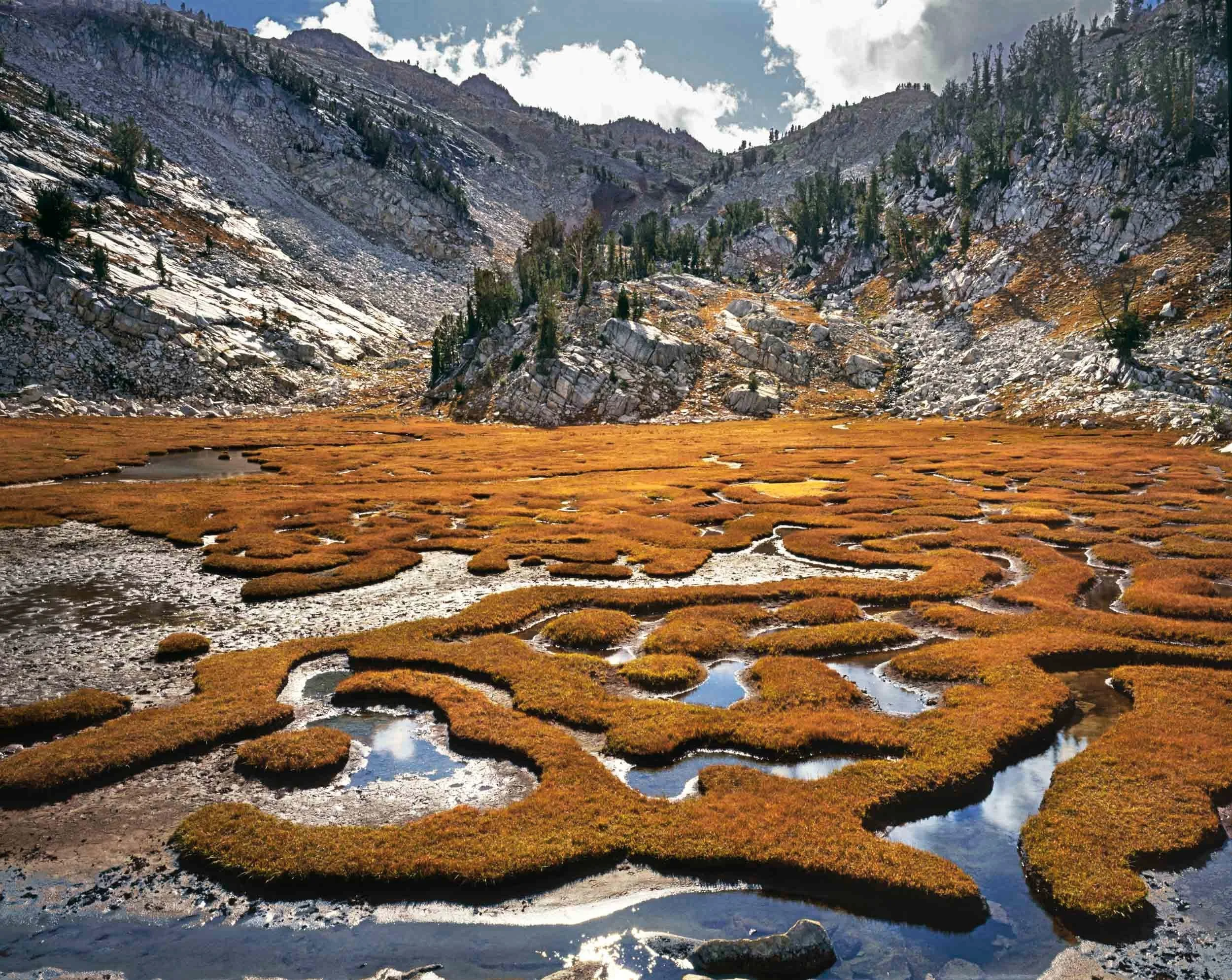 AB371 Sand trap Meadow