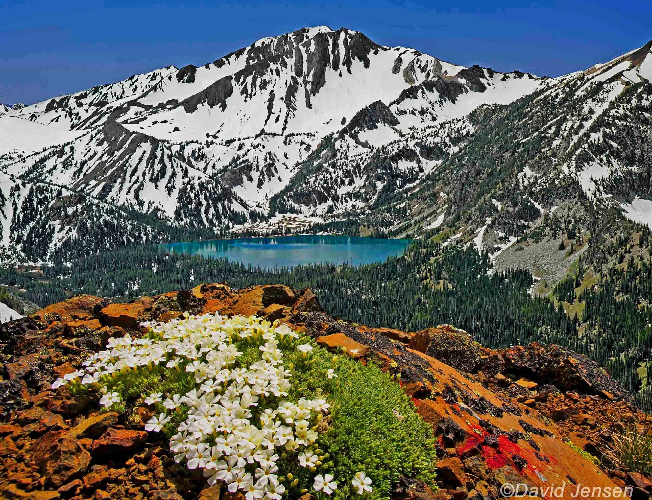 AC434   Aneroid Lake