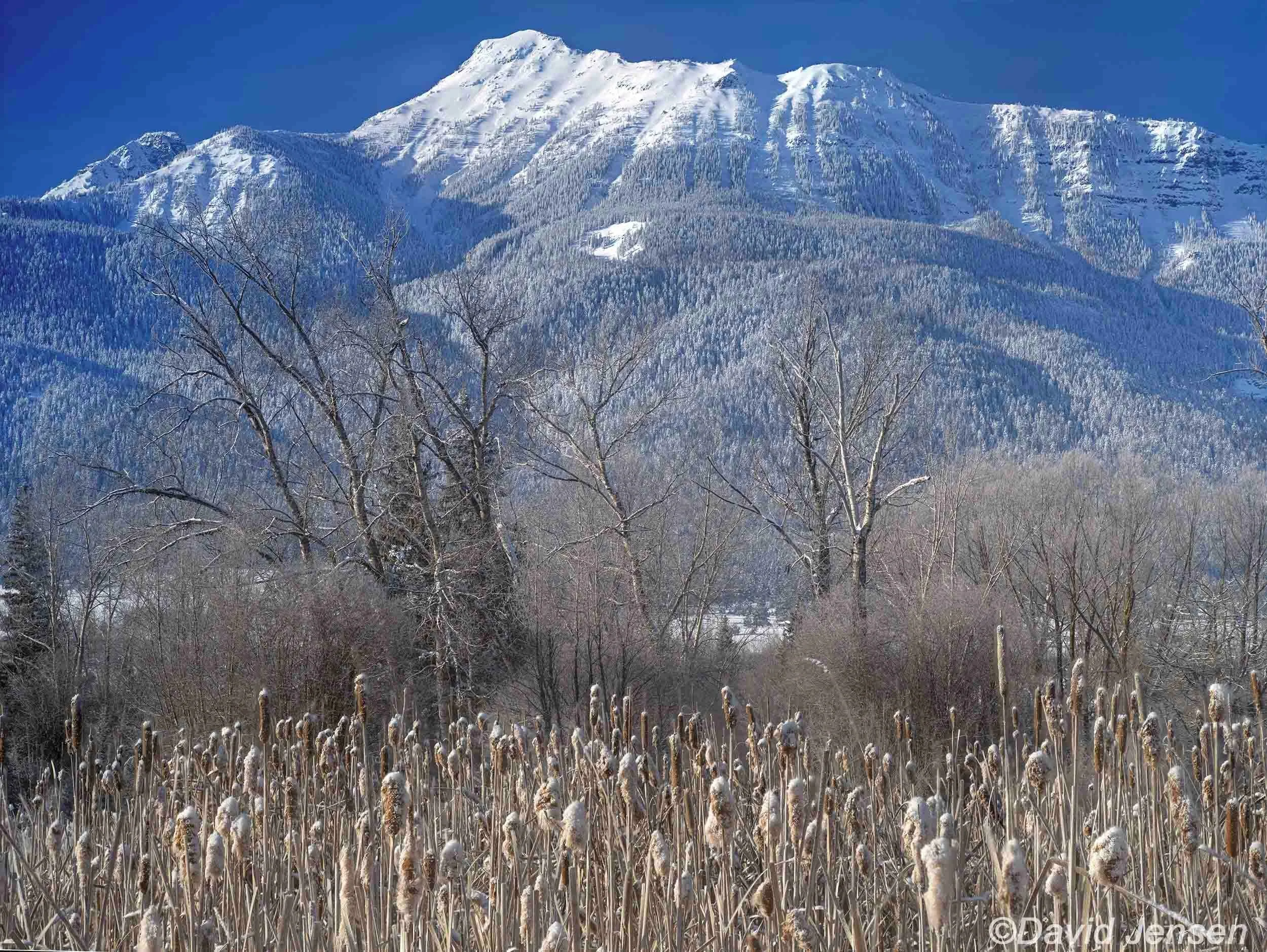 BC300  Ruby Peak with cattails