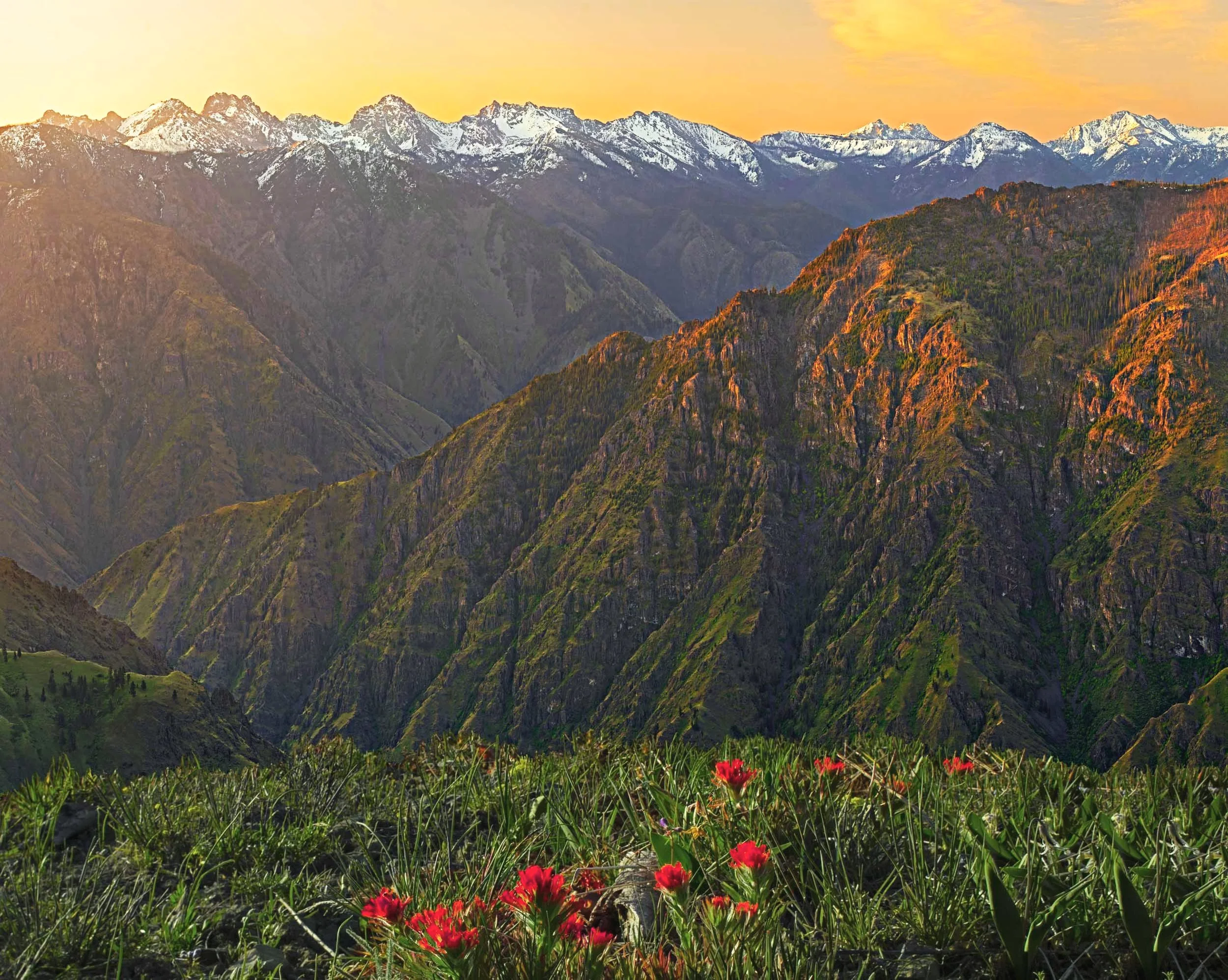 DB203  Seven Devils Mountains, Hells Canyon