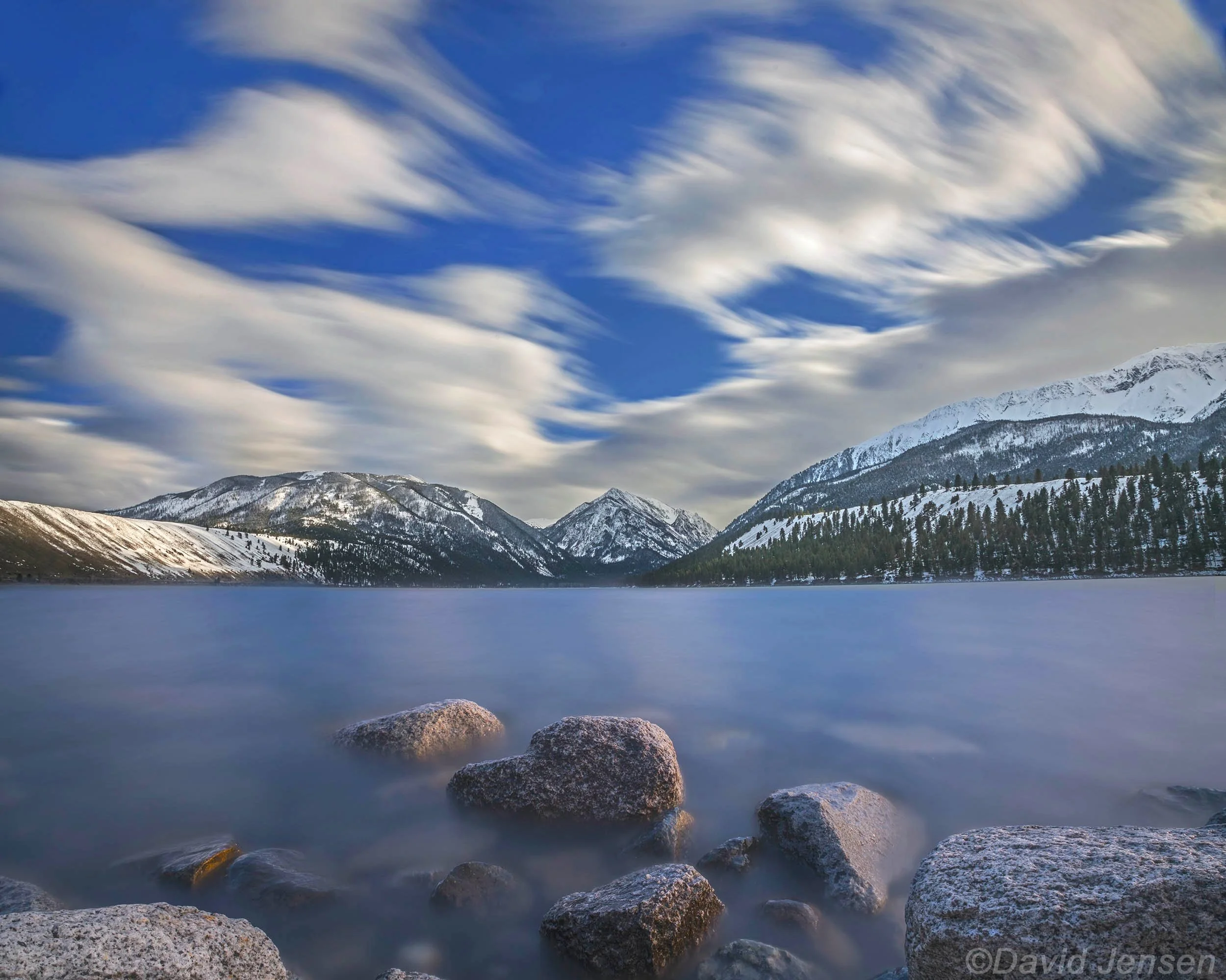 CC339  Landscape on the move