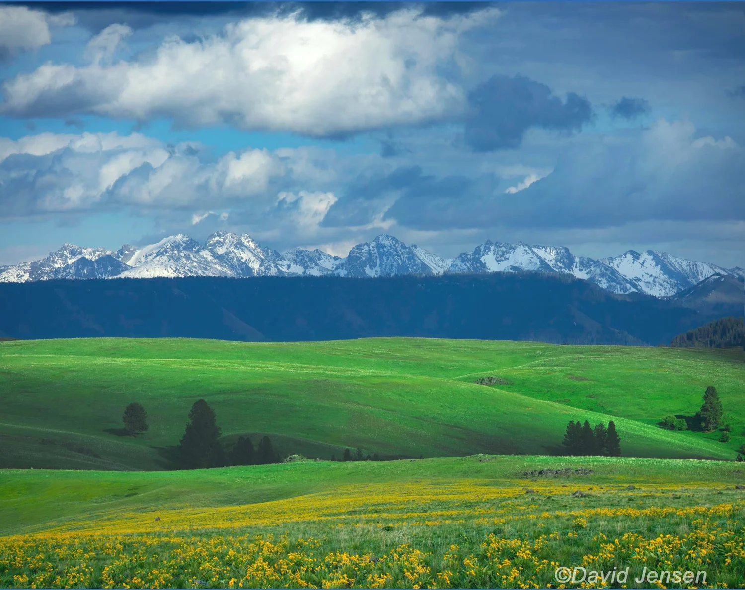 Oregon Prairie Zumwalt Prairie Photographs — David Jensen Photographics