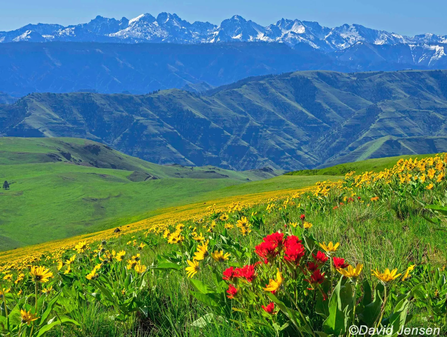Oregon Prairie Zumwalt Prairie Photographs — David Jensen Photographics