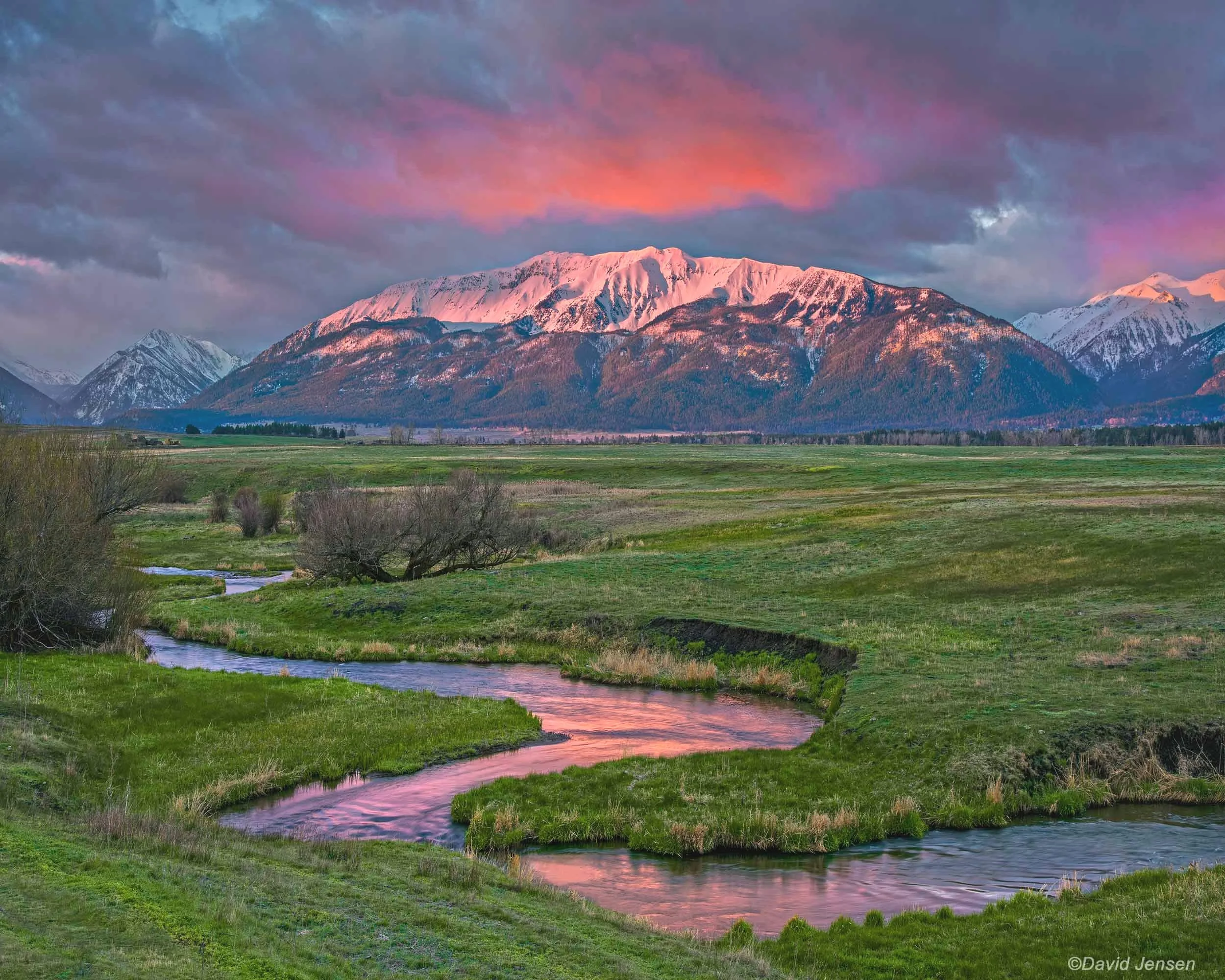 BC354  Prairie Creek sunrise