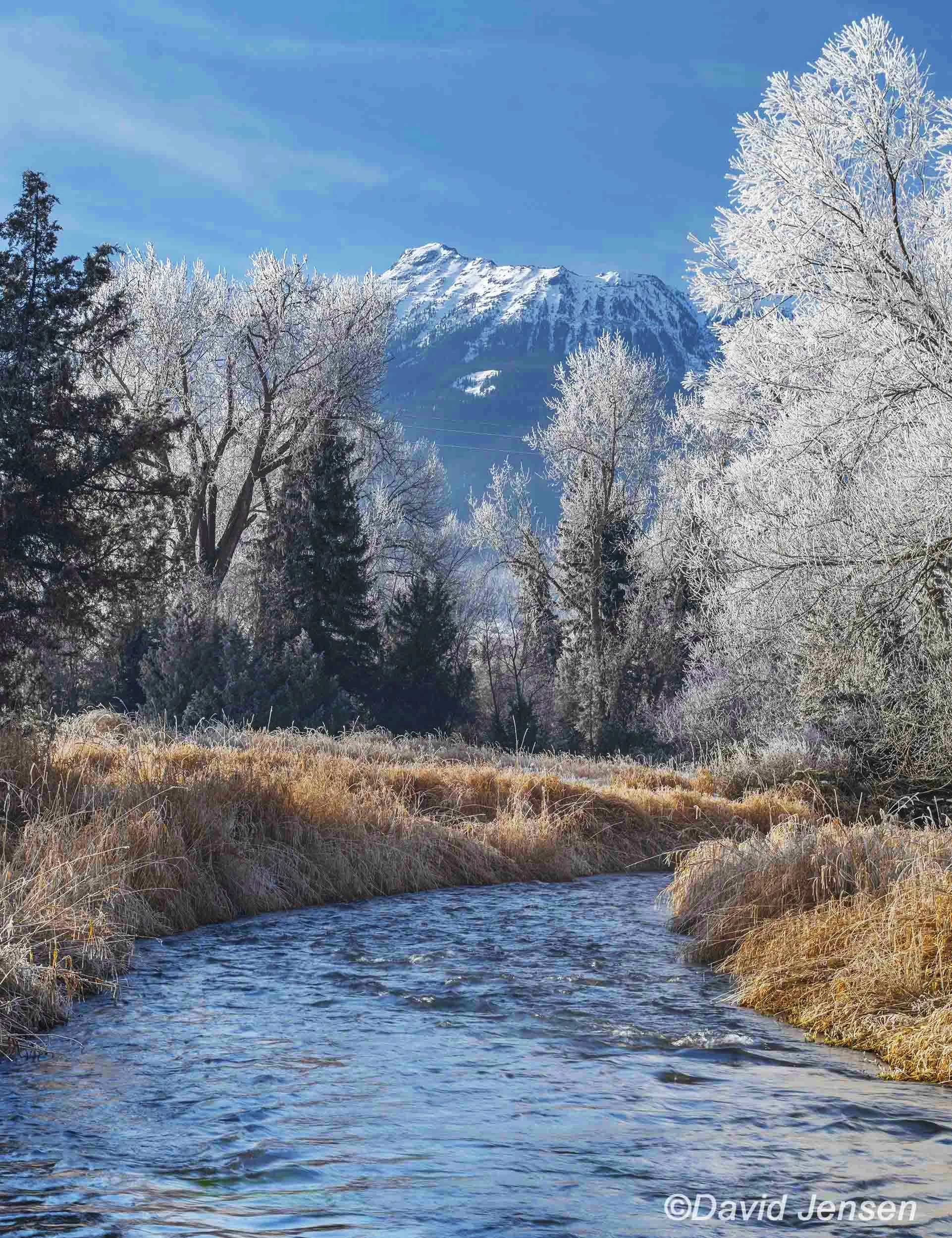 BD400  Prairie Creek