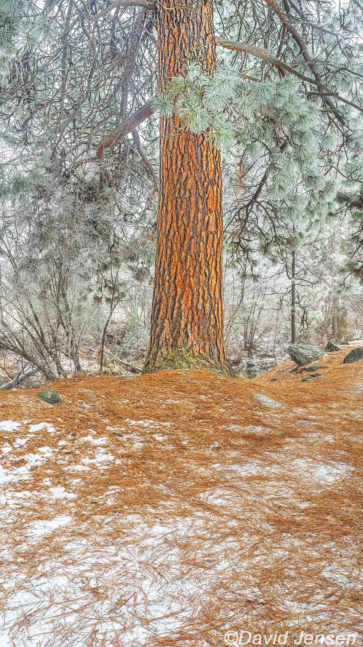 AB338  Iwetemlaykin State Heritage Site