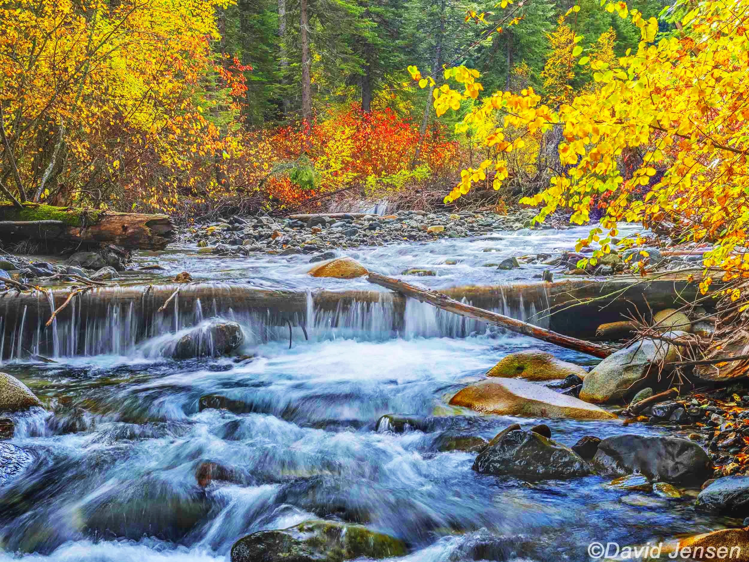 AB341  Hurricane Creek autumn