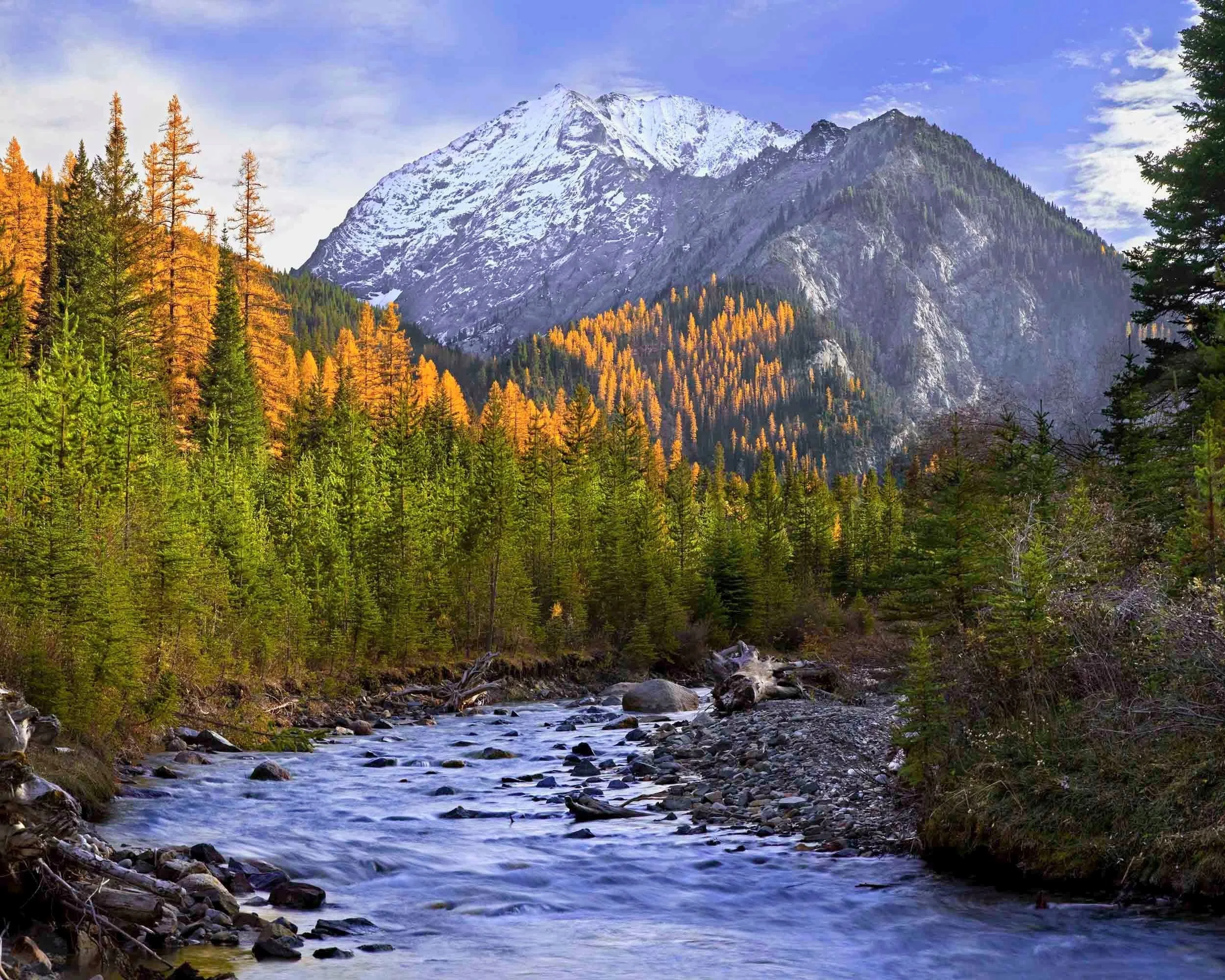 AB366  Sacajawea Peak, Hurricane Creek autumn