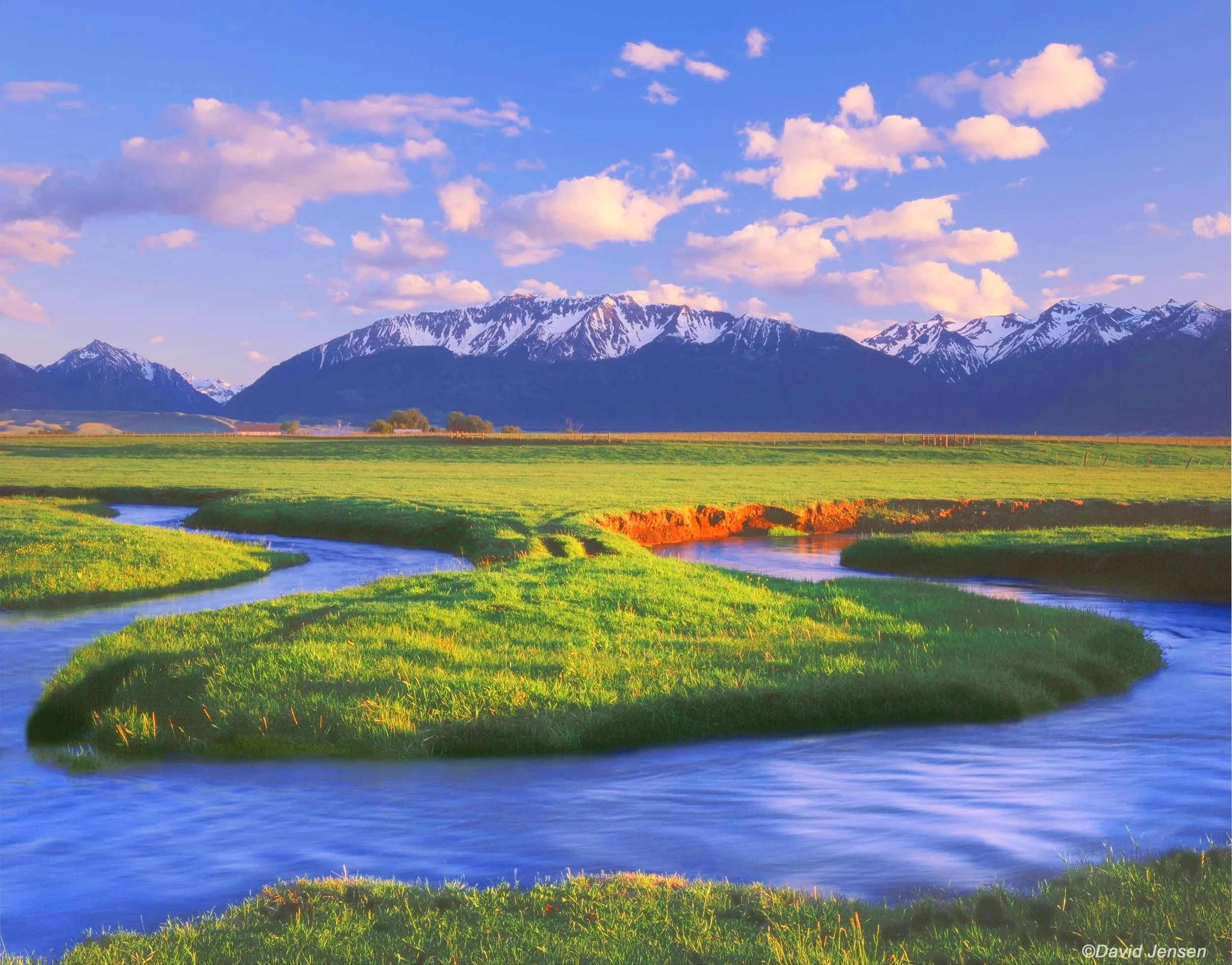 AD515  Wallowa Mountains from Prairie Creek