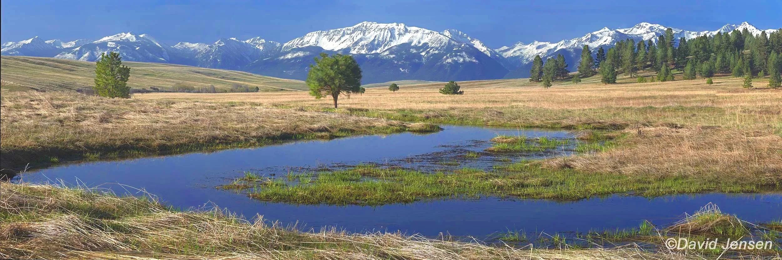 AE623  Trout Creek