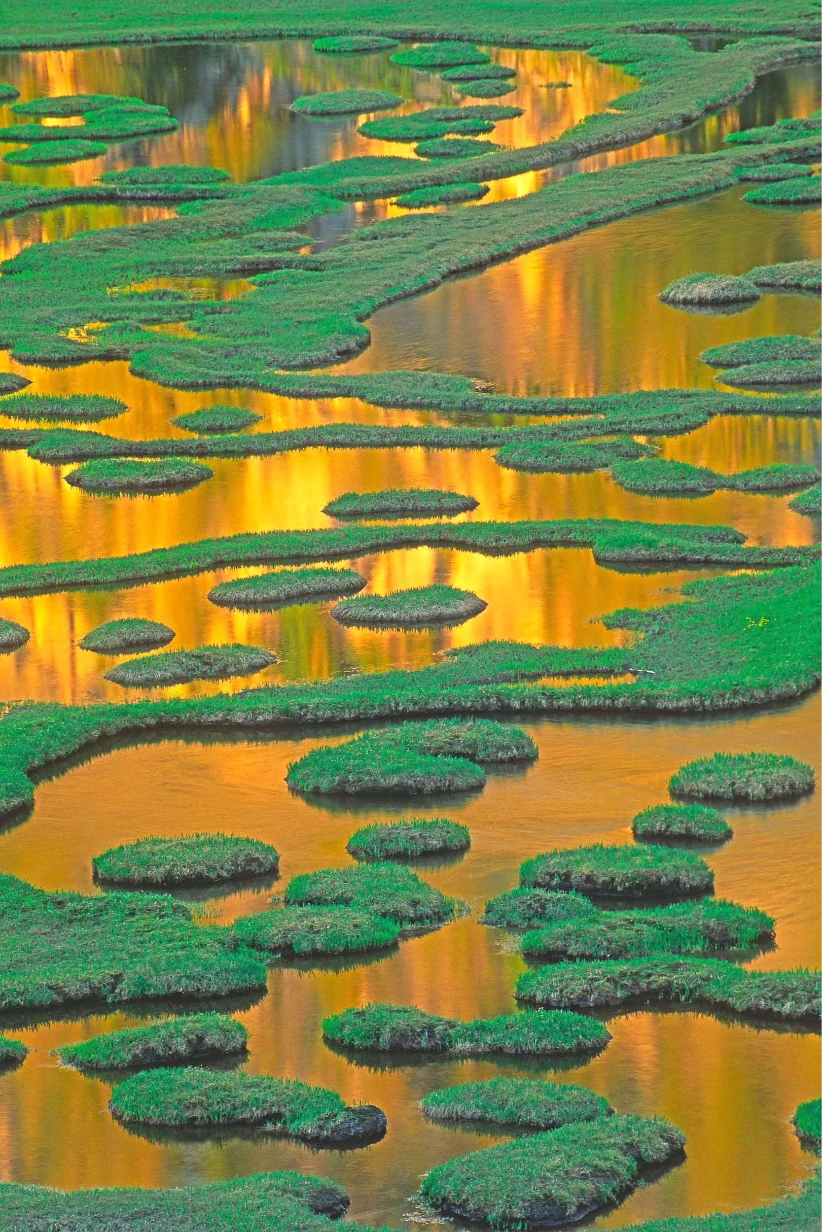 AB364  Swamp Lake