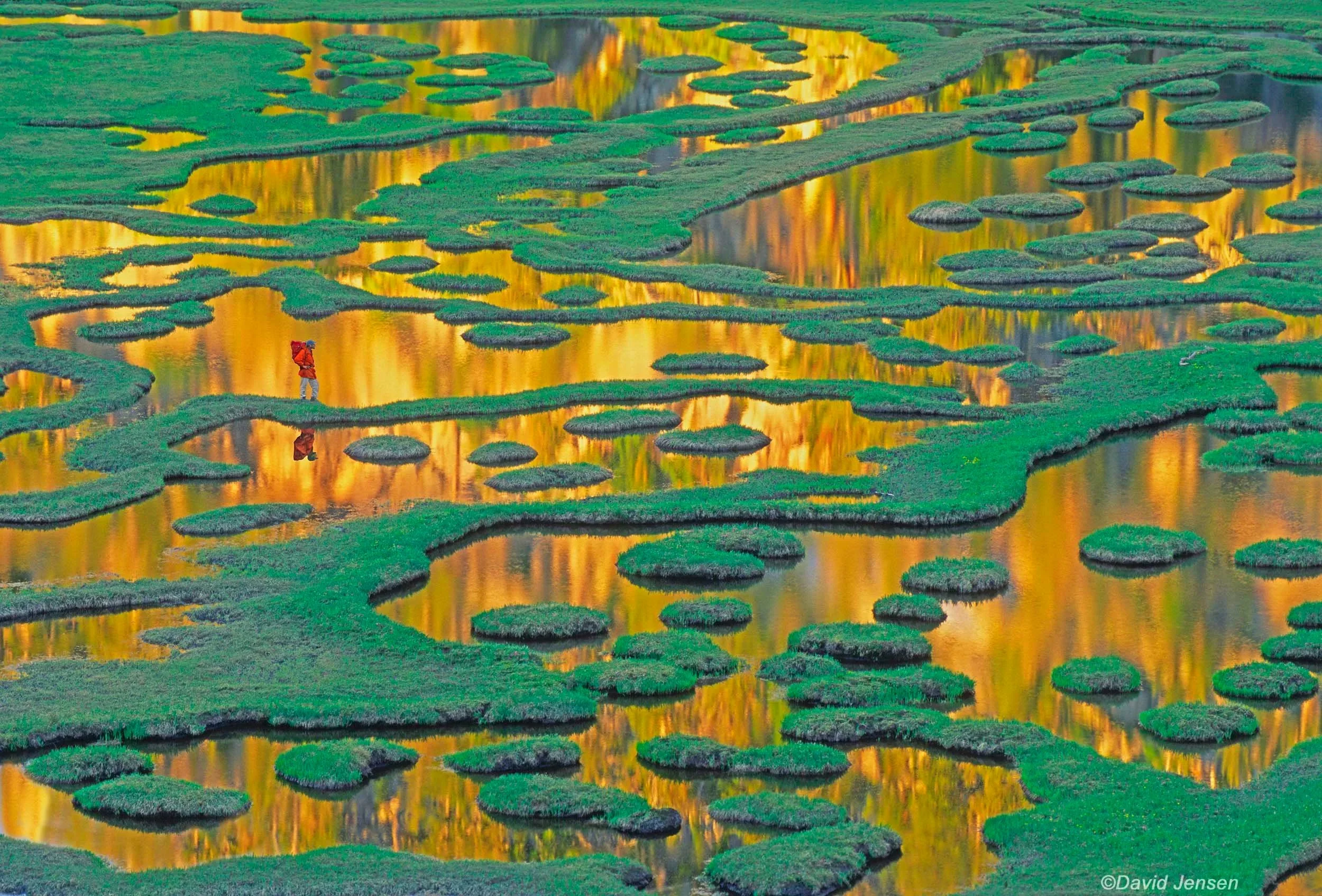 AB393  Swamp Lake