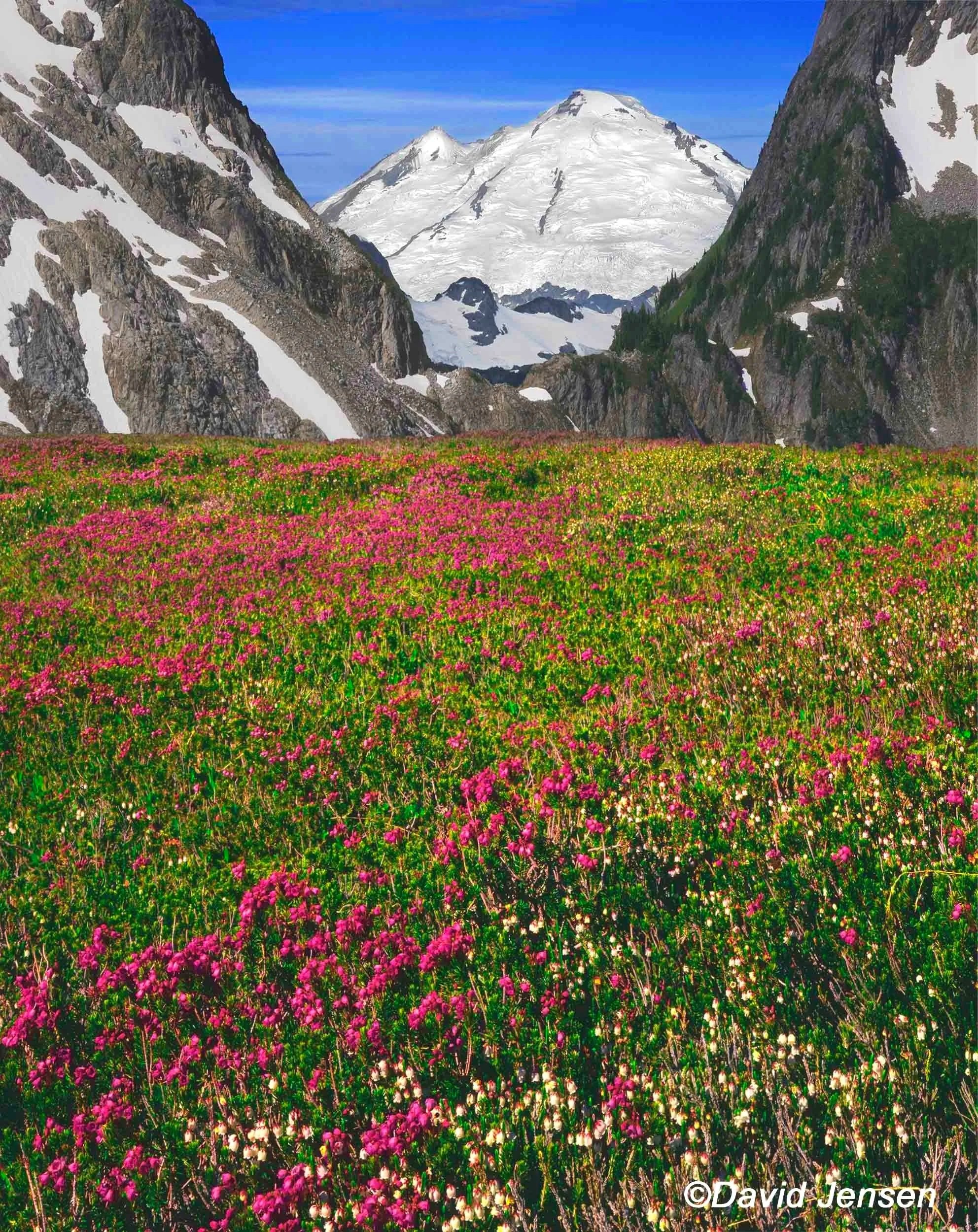 mt%2Bbaker%2Bfrom%2Bnorth%2Bcascade%2Bnational%2Bpark%2Bwashington%2Bcascades%2B.jpg