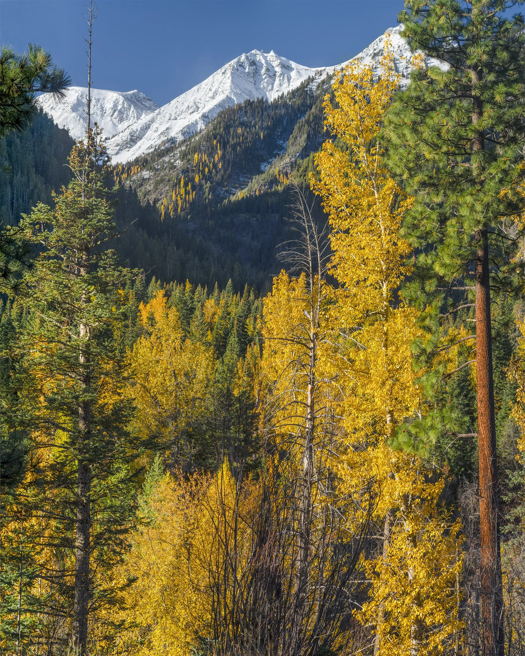 AE666 Hurricane Creek Canyon