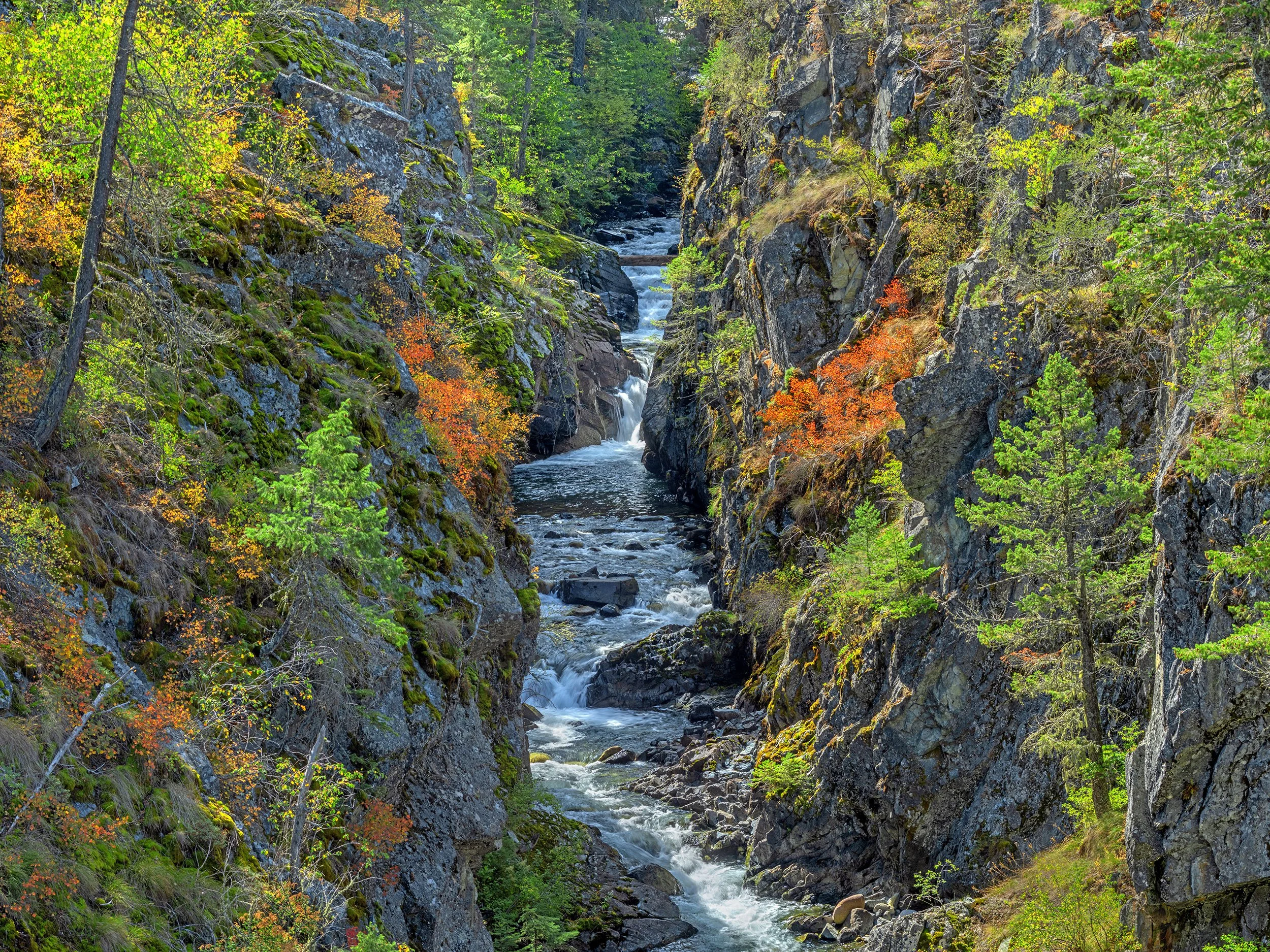 AE665 West Fork Wallowa River