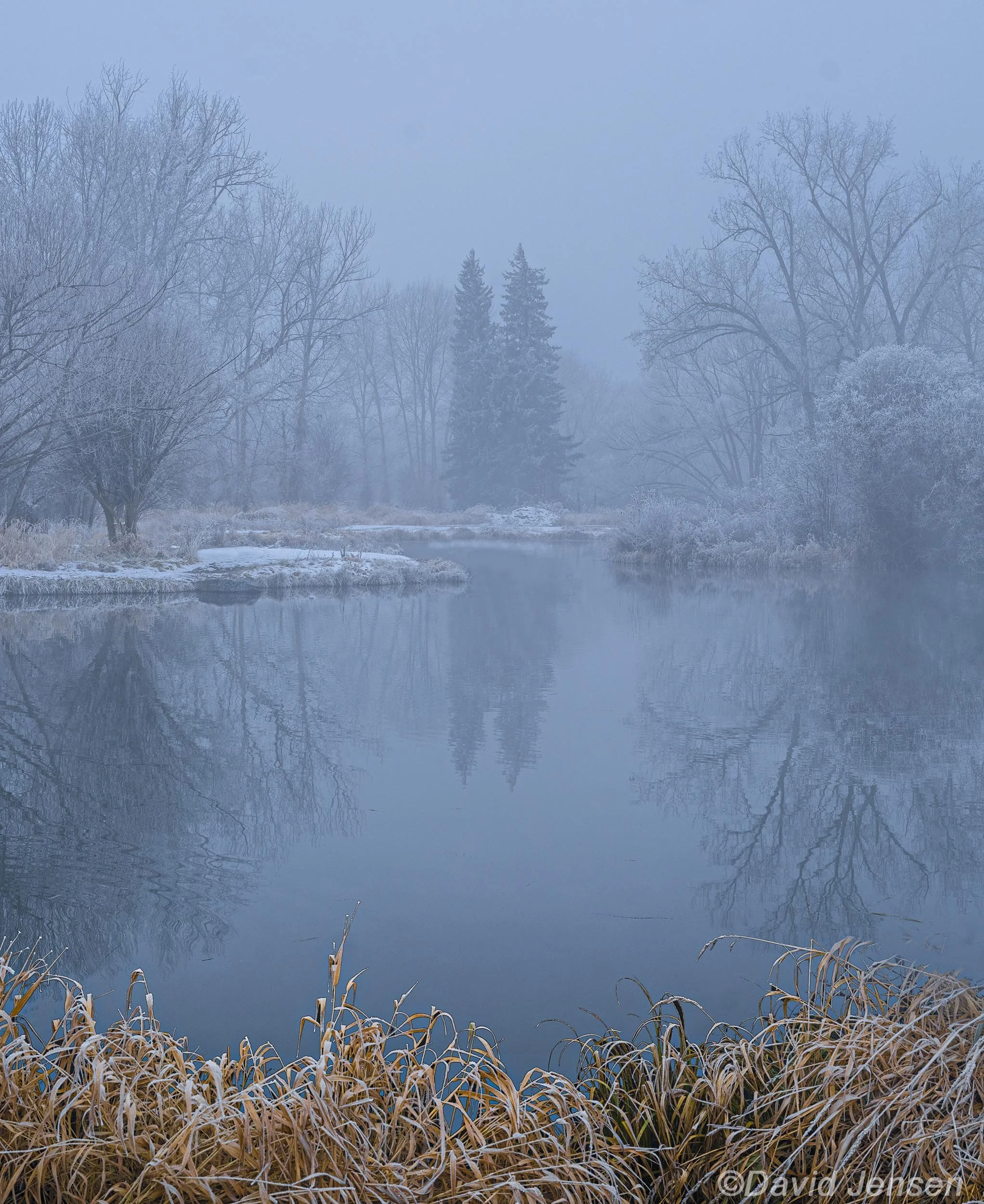 BC304  Marr Pond