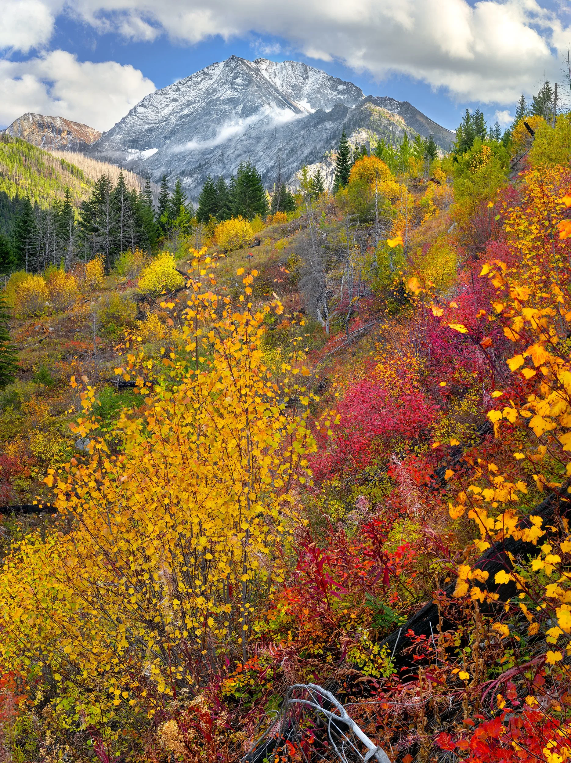 AD538  Sacajawea Peak  autumn