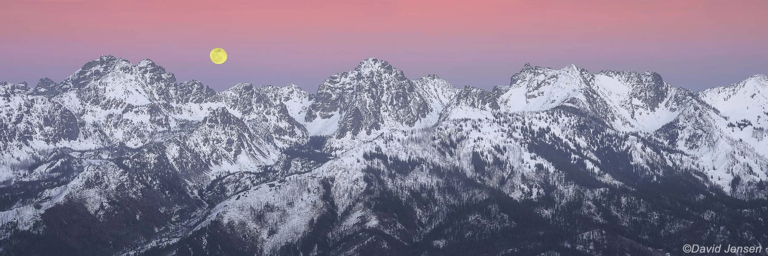 DC 310  Idaho's Seven Devils Range from Oregon's Summit Ridge at Lookout Mountain
