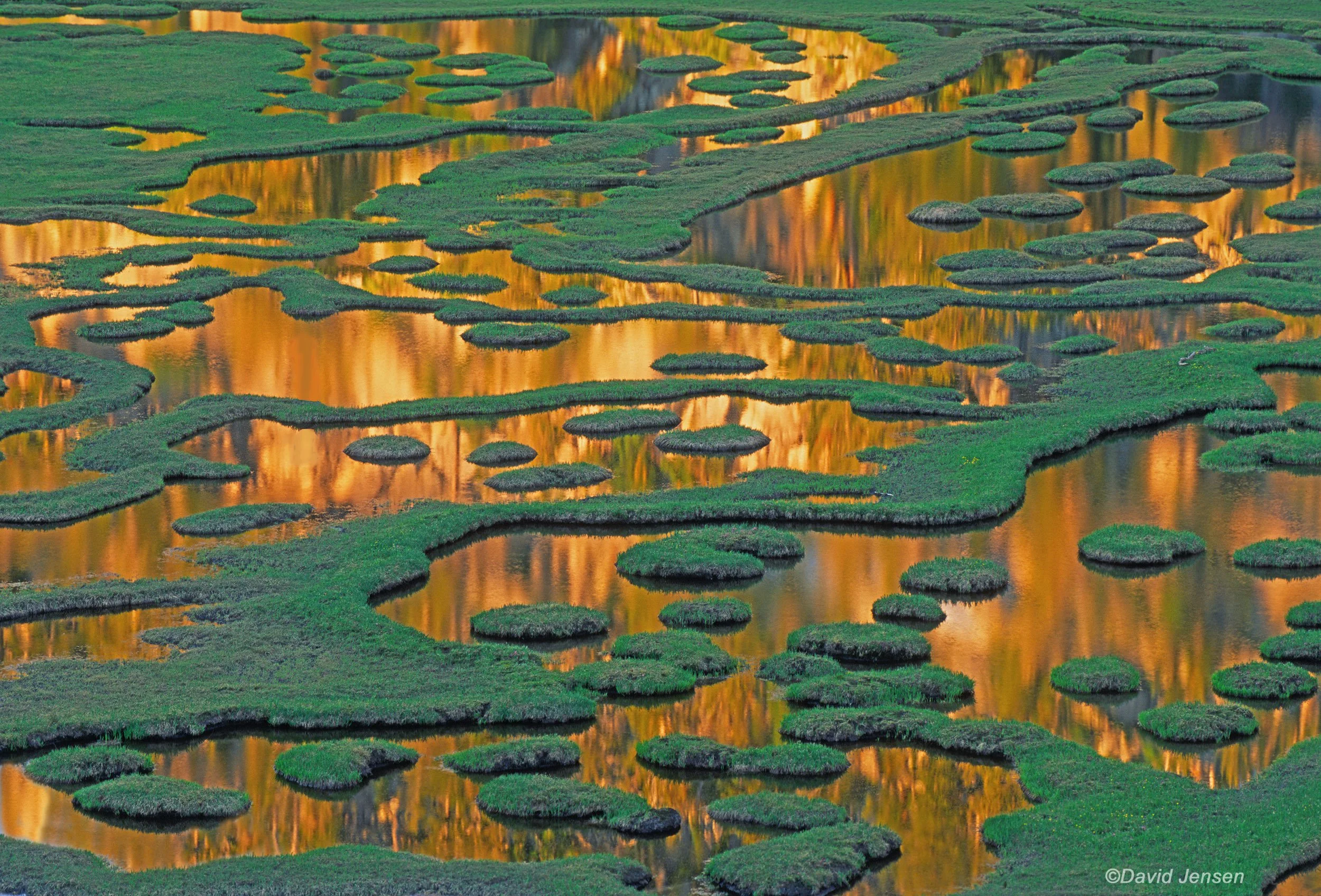 AB404  Swamp Lake 