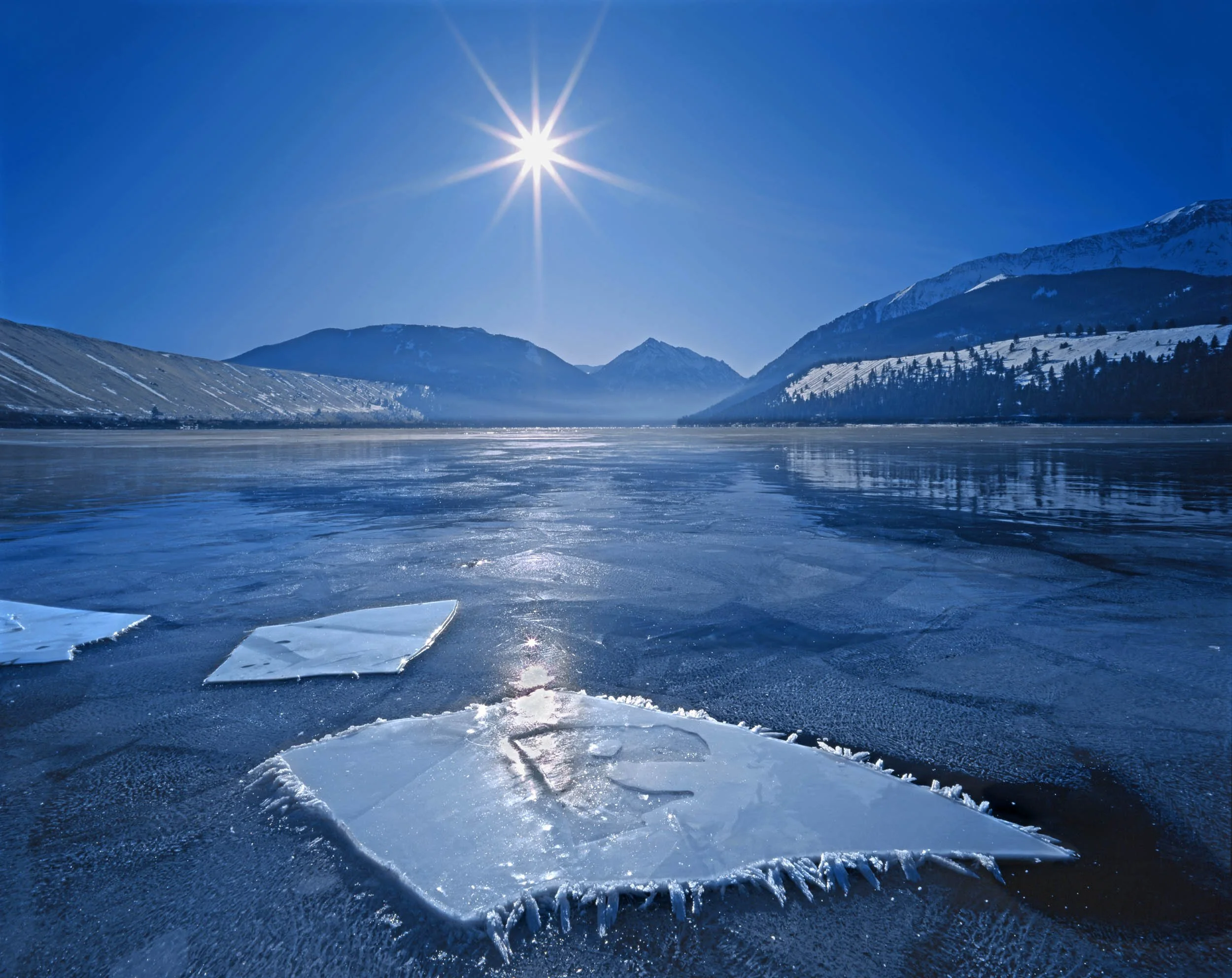 C131  Frozen and frosted floes