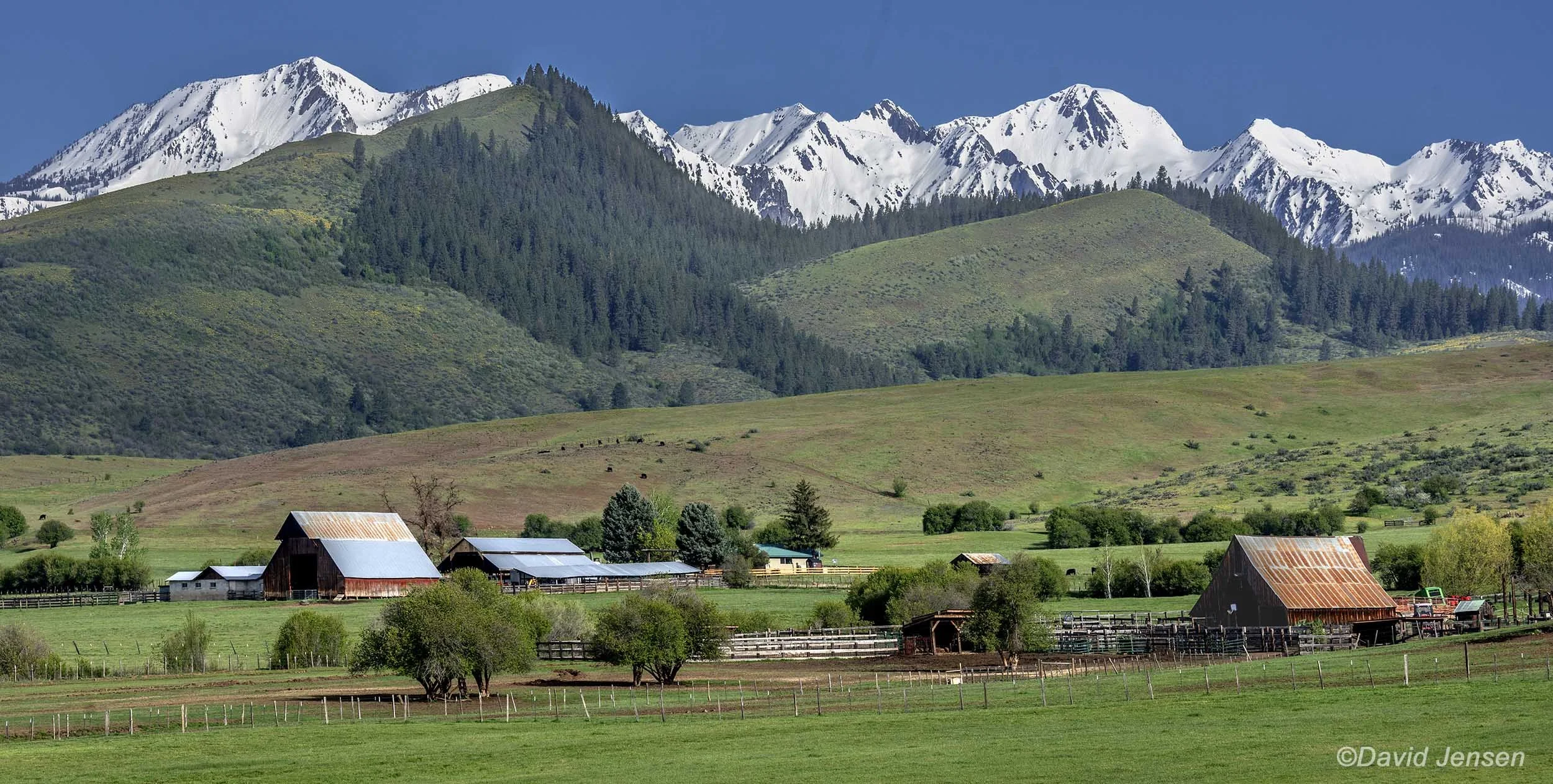AD553  Wallowas above Pine Creek Valley