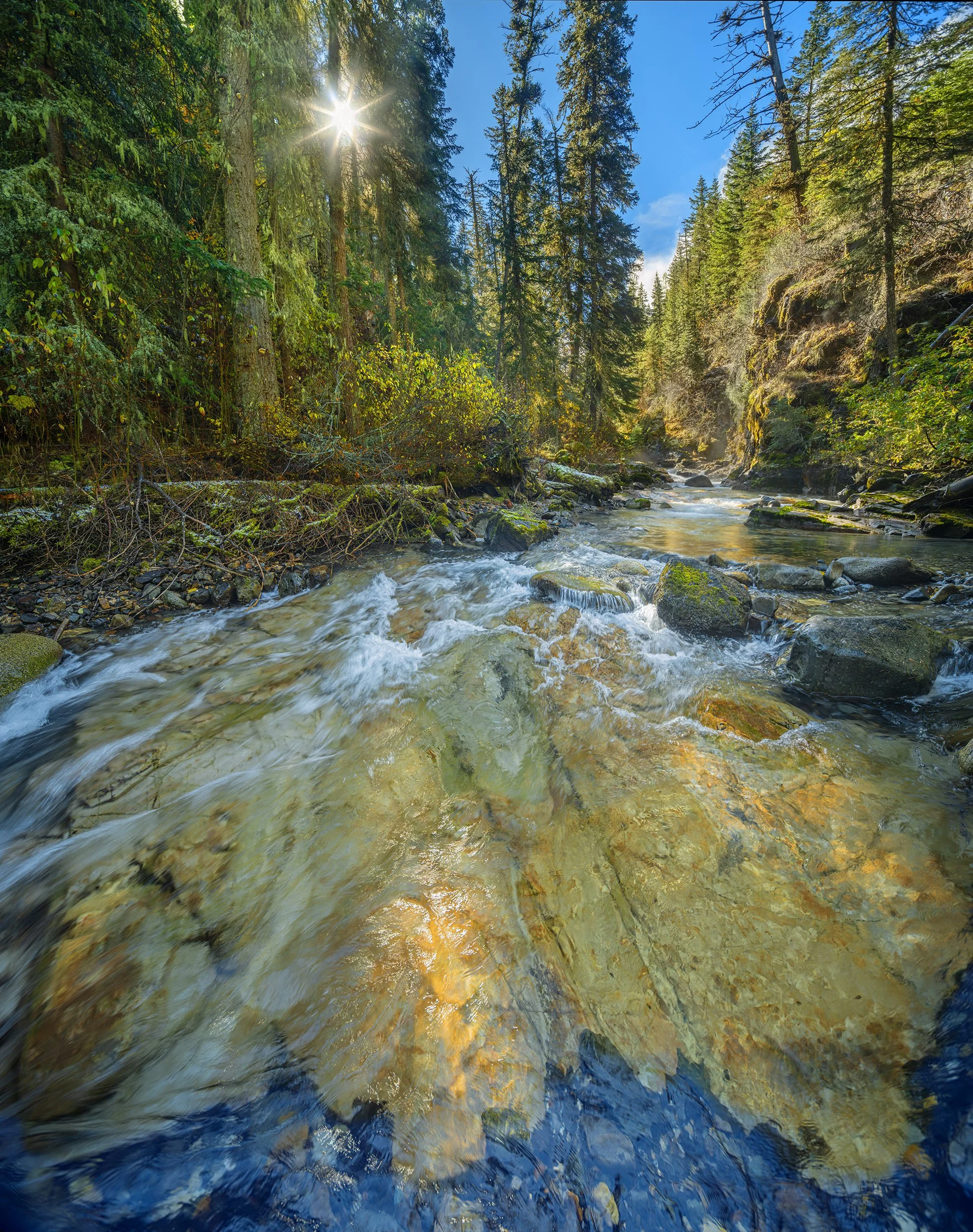 AE667 Hurricane Creek on bedrock 