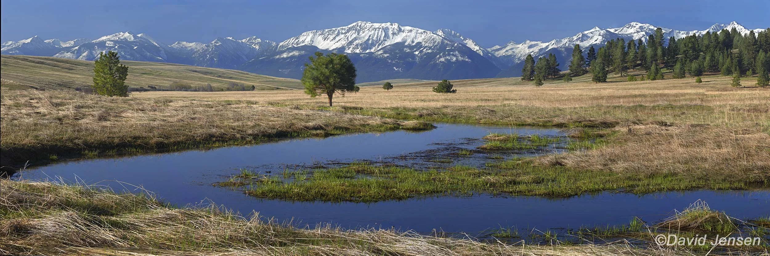 BD411  Wallowa Mountains from Trout Creek Valley