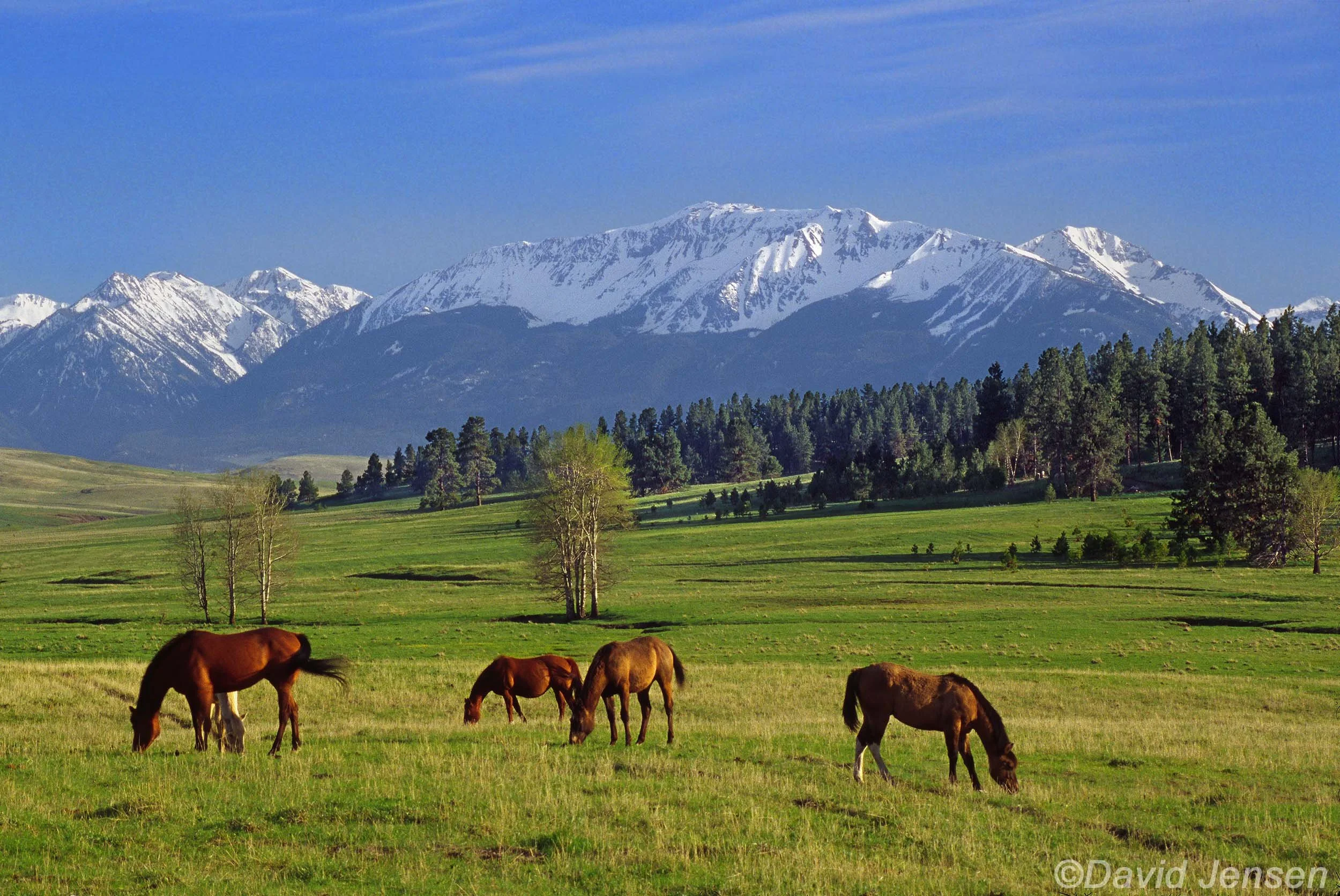 BC323  Trout Creek Valley