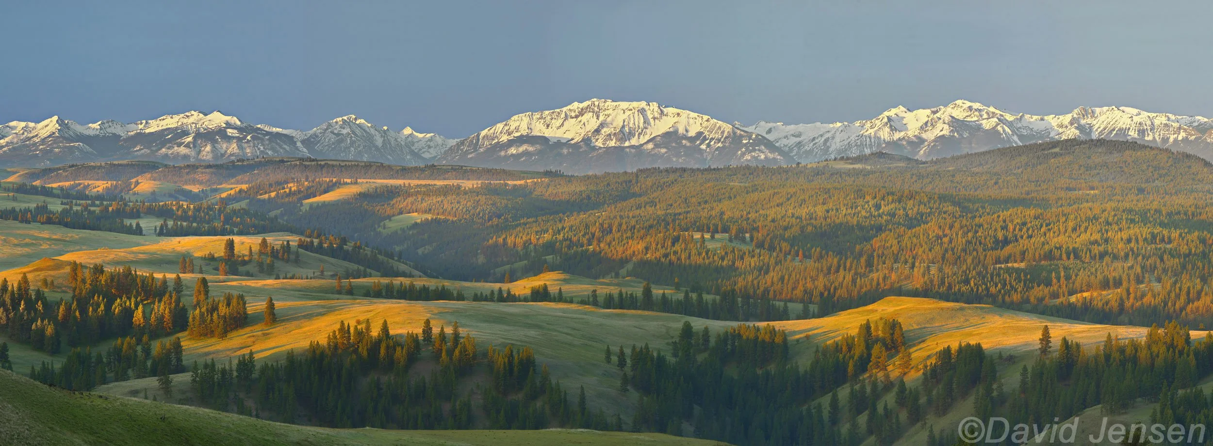 AC403  Wallowa Mountains from Chesnimnus country