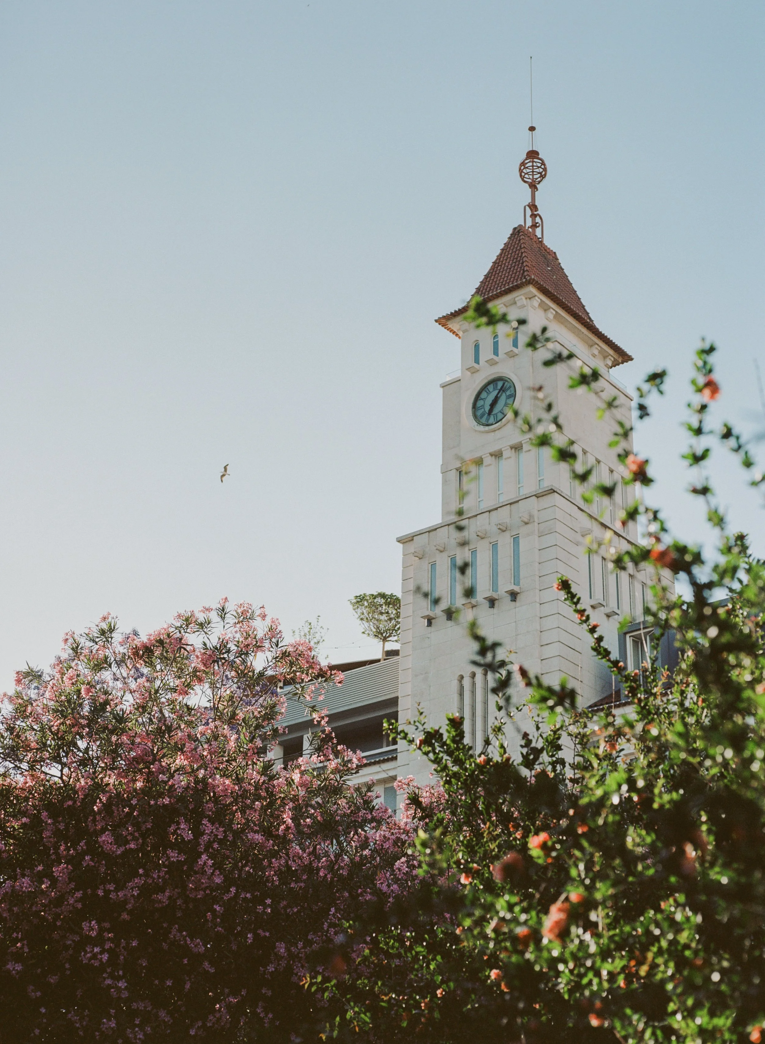 A clock tower with a red, tiled roof and a decorative antenna on top, surrounded by flowering trees and plants, with a clear blue sky in the background.