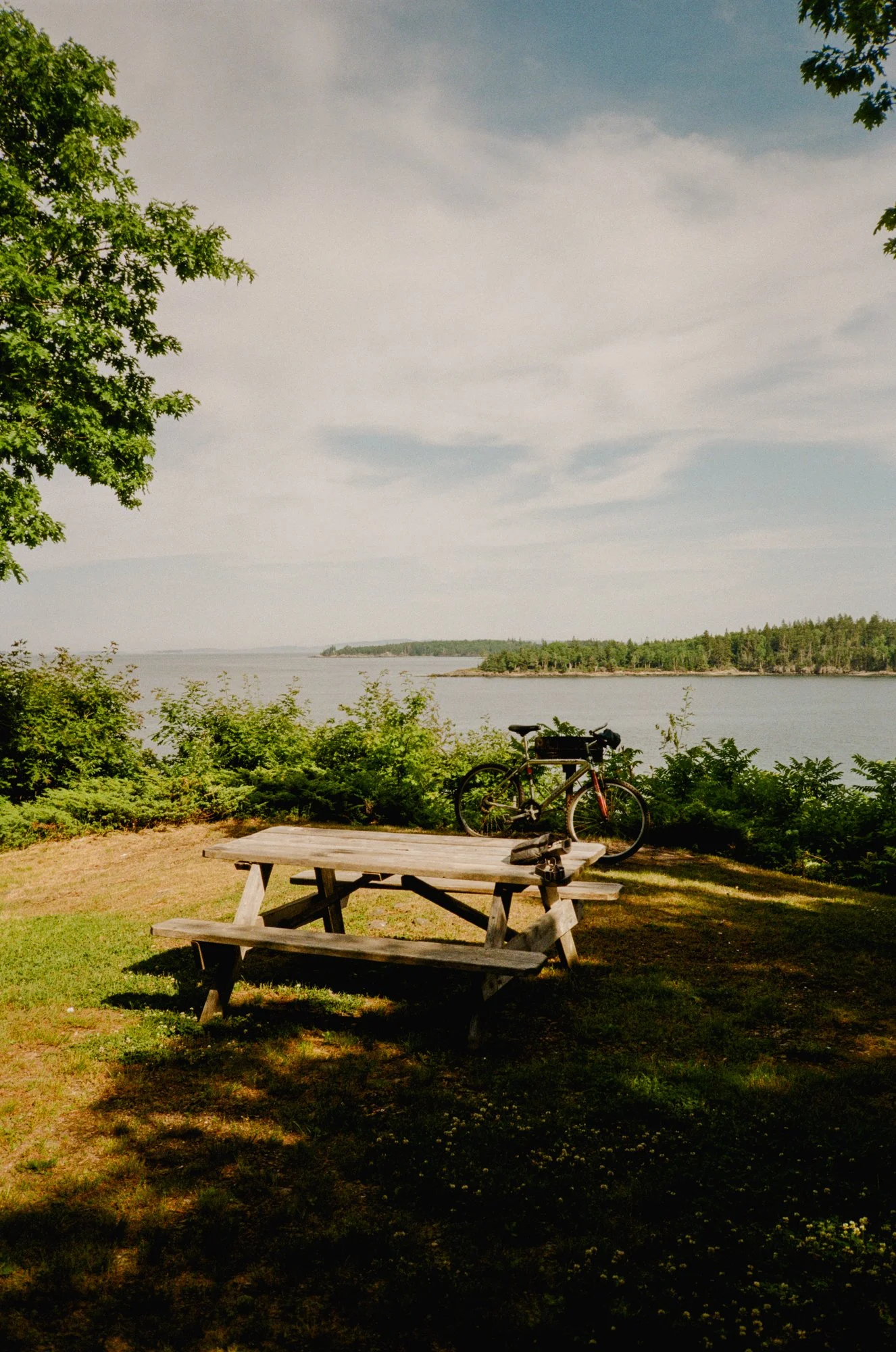 6.24 - North Haven-3.jpg