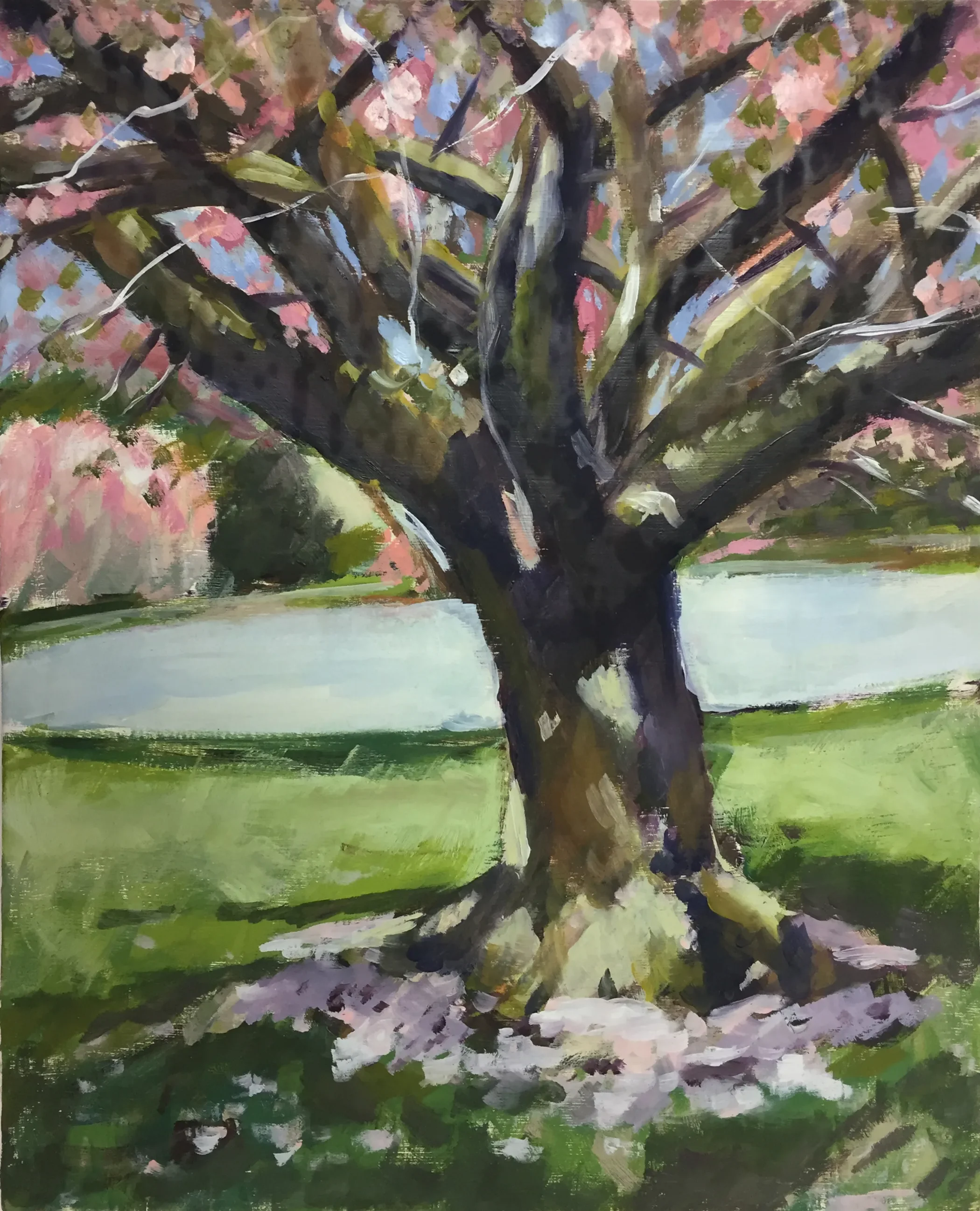 Spring Tree - Oil on wood 8x10 - $100