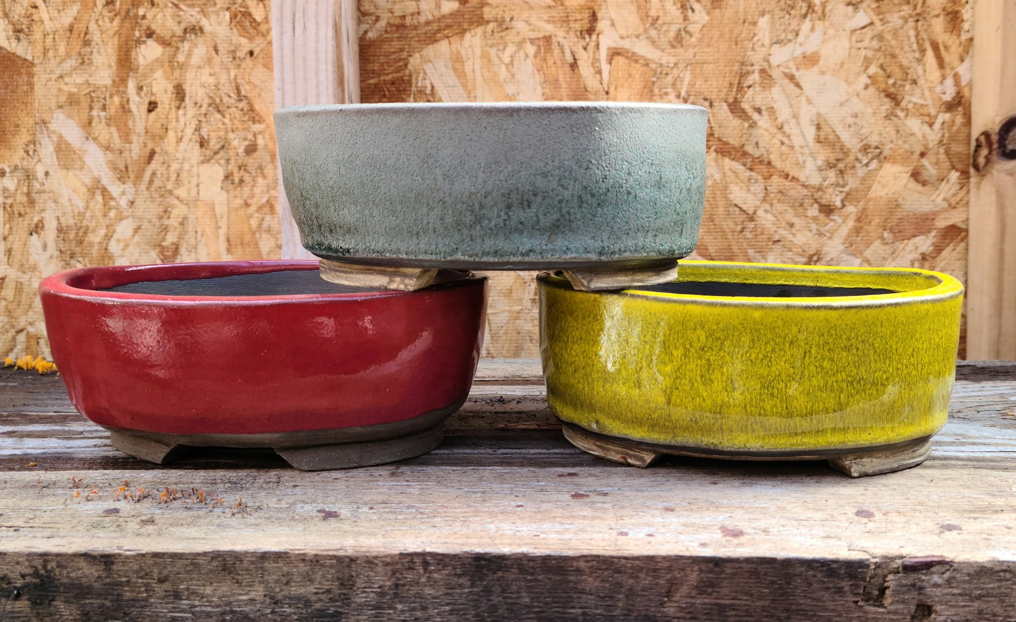 Bonsai pots 2.jpg