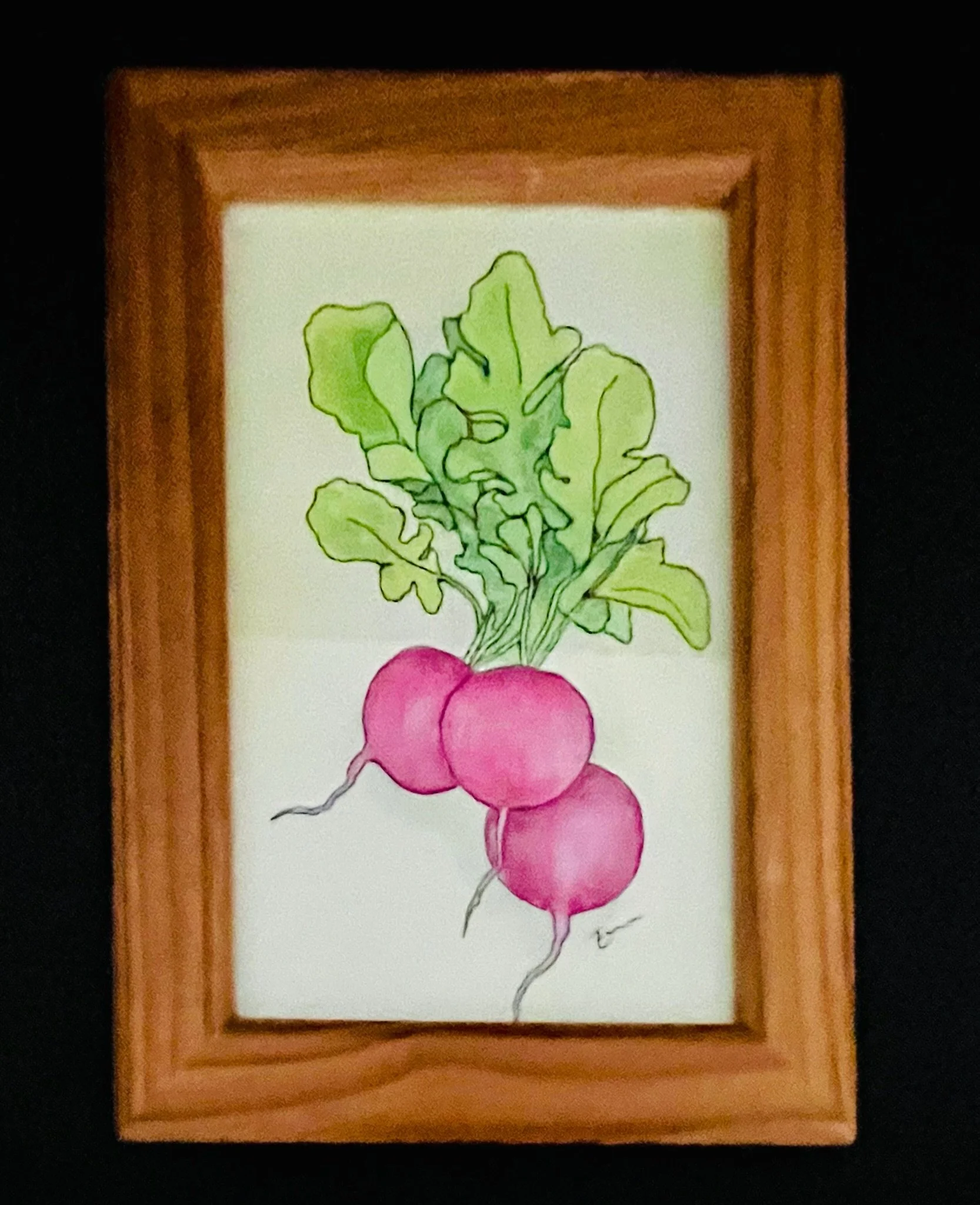 "Radish" Watercolor Original in recycled frame 5x7 - $50
