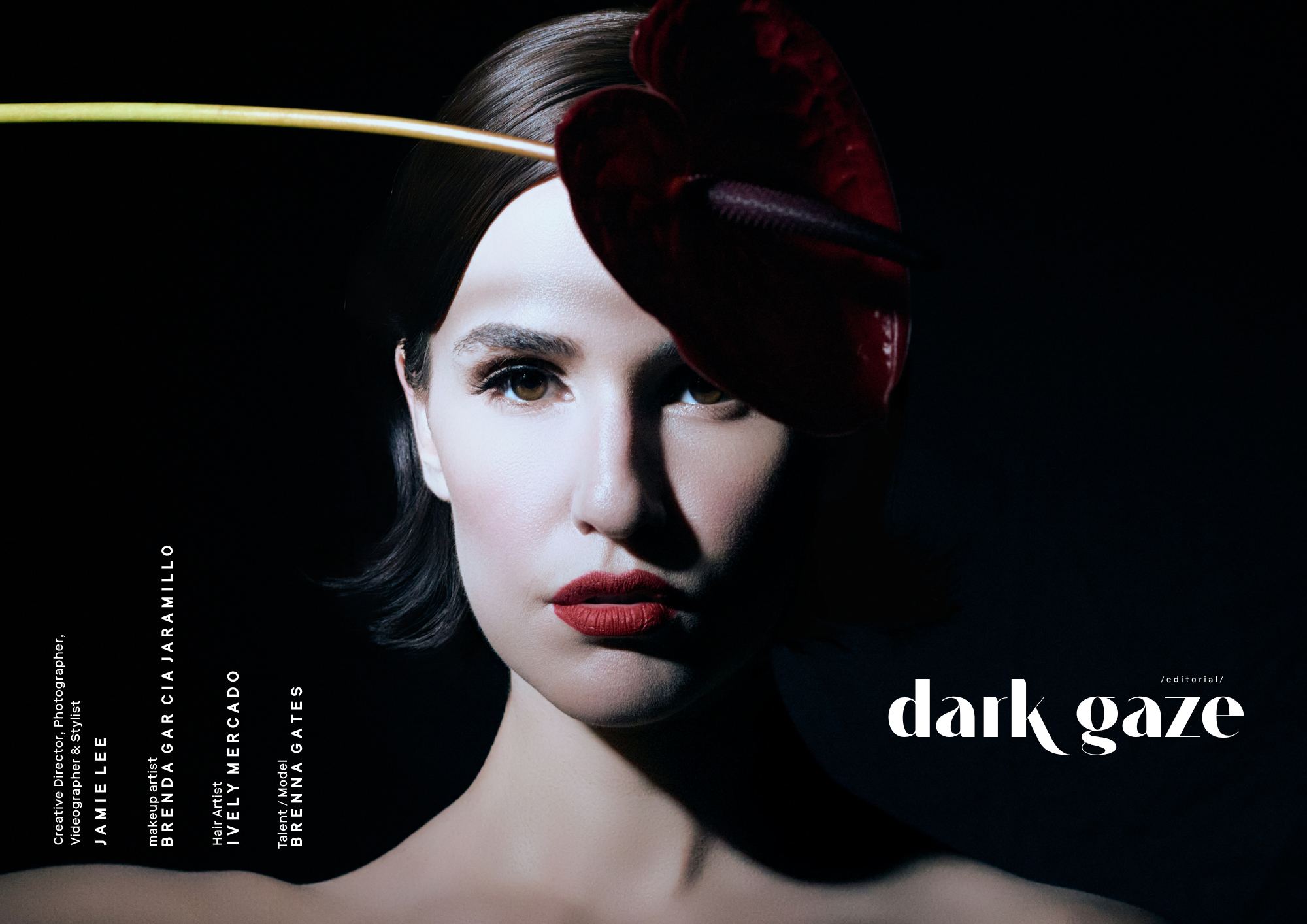 Dark Gaze - Jamie Lee - 1.png