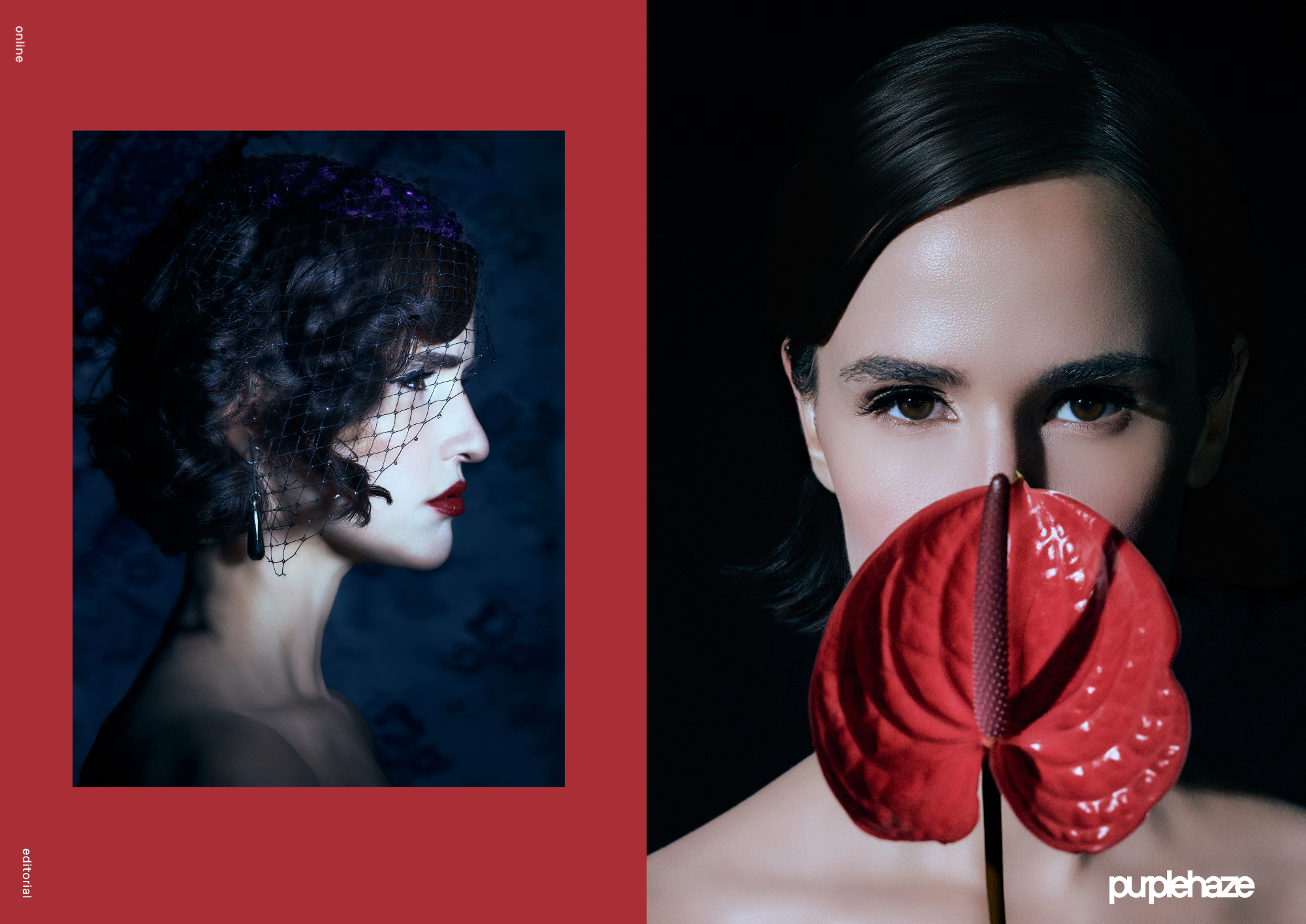 Dark Gaze - Jamie Lee - 2.png